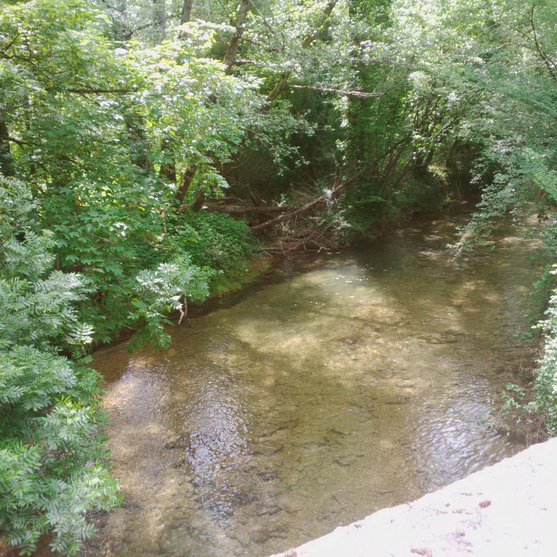 Photo 33