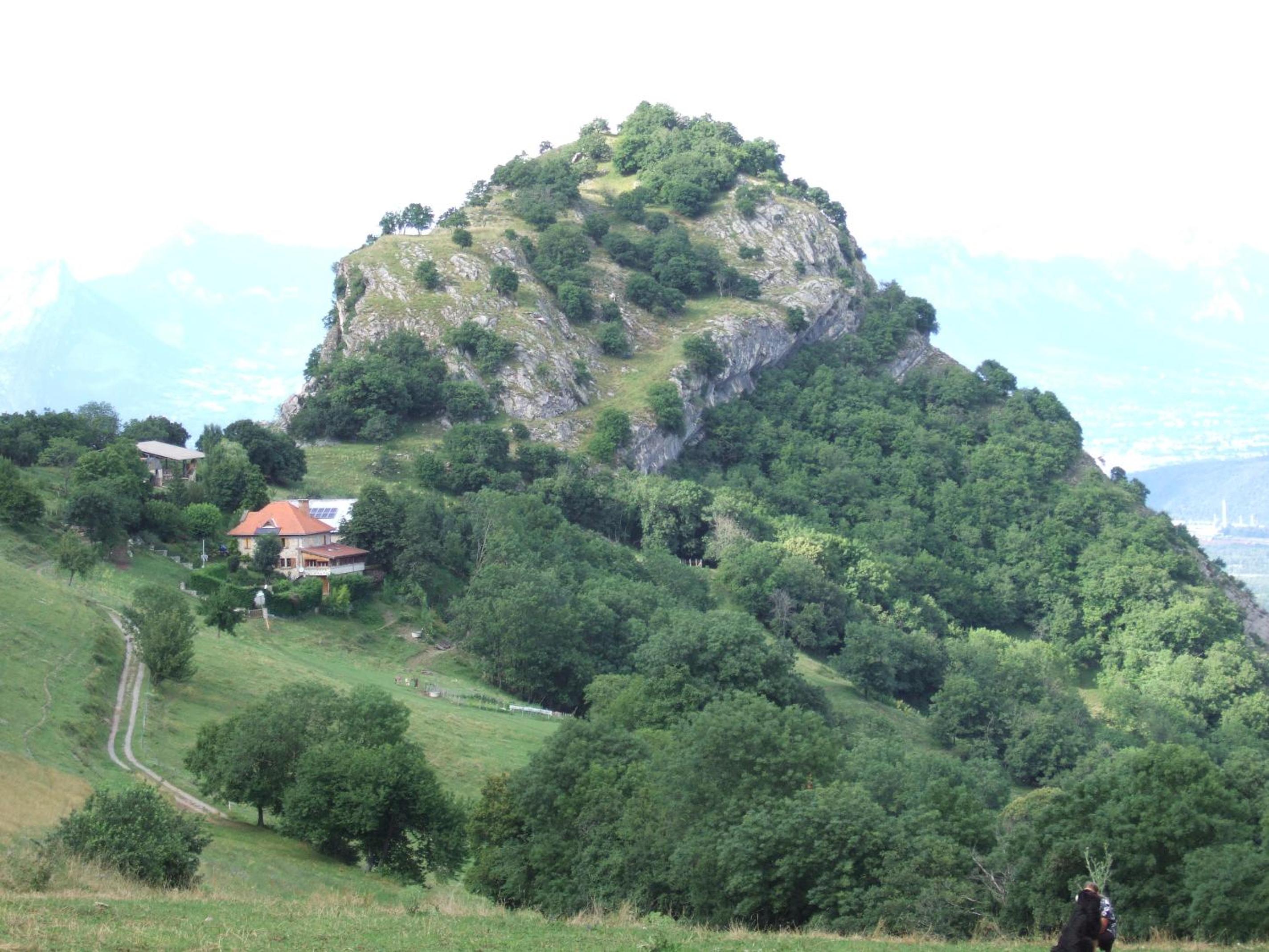 Photo 11