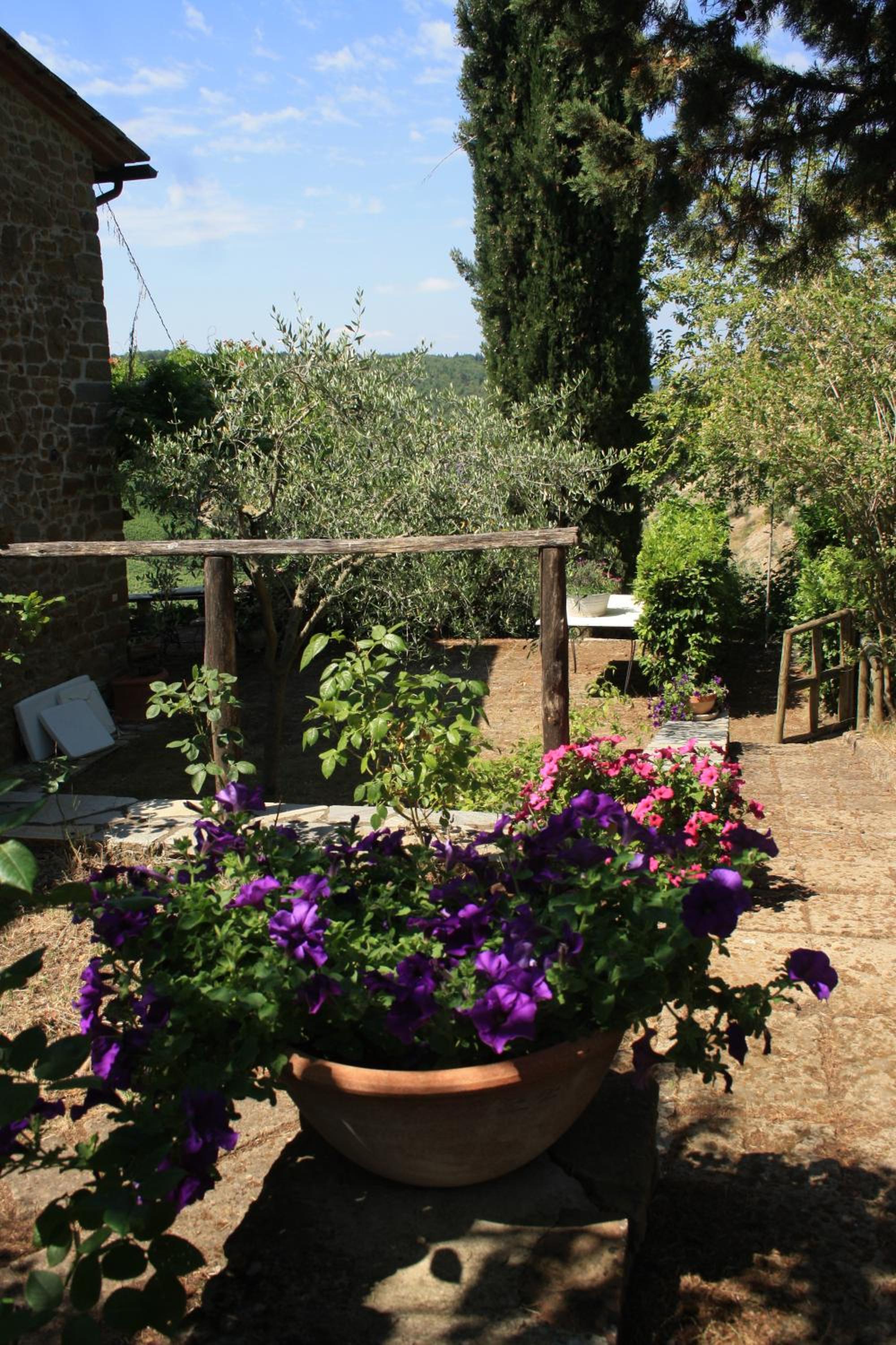 Il Fico in Chianti