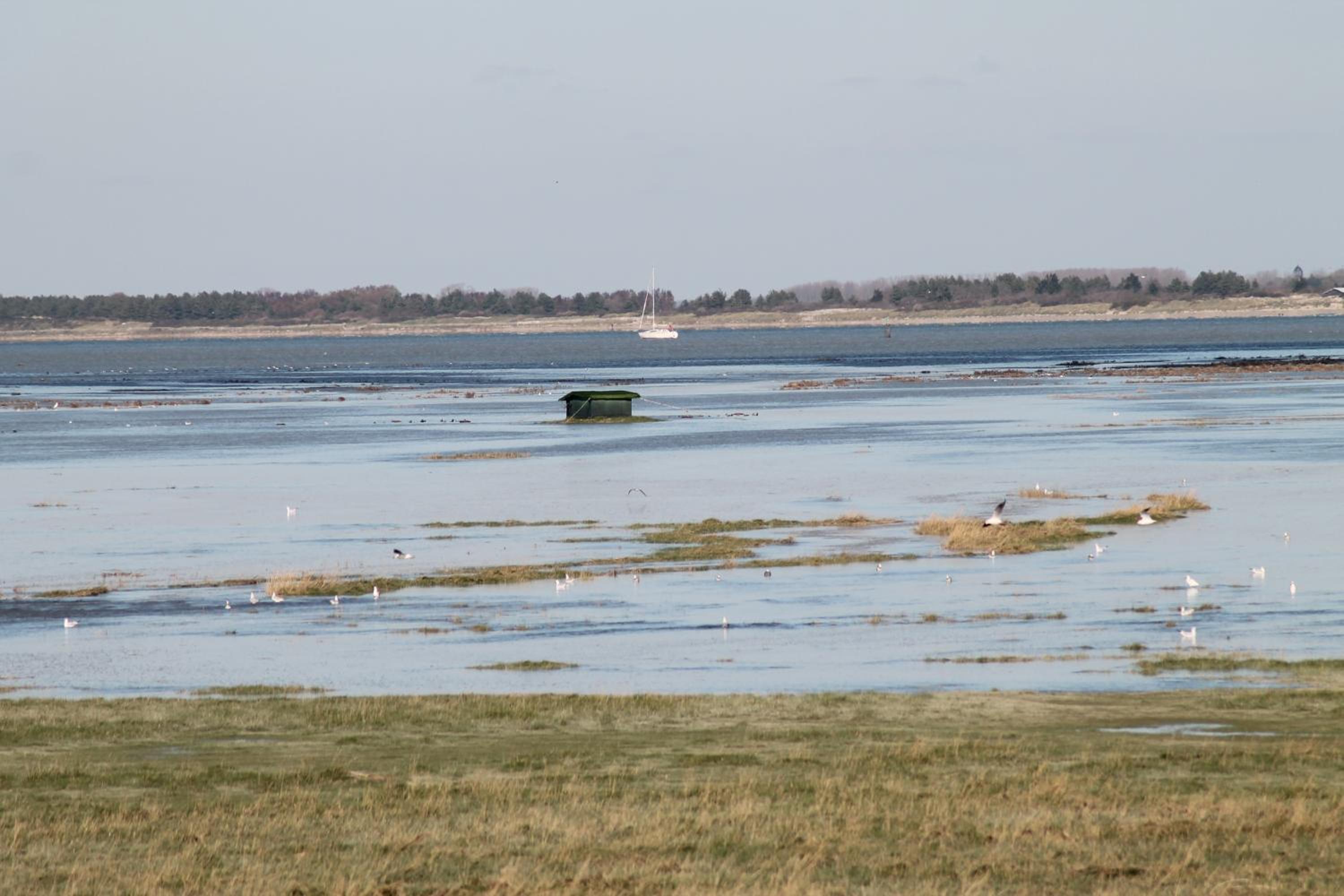 Camping de la Baie de Somme Nature Randonnées