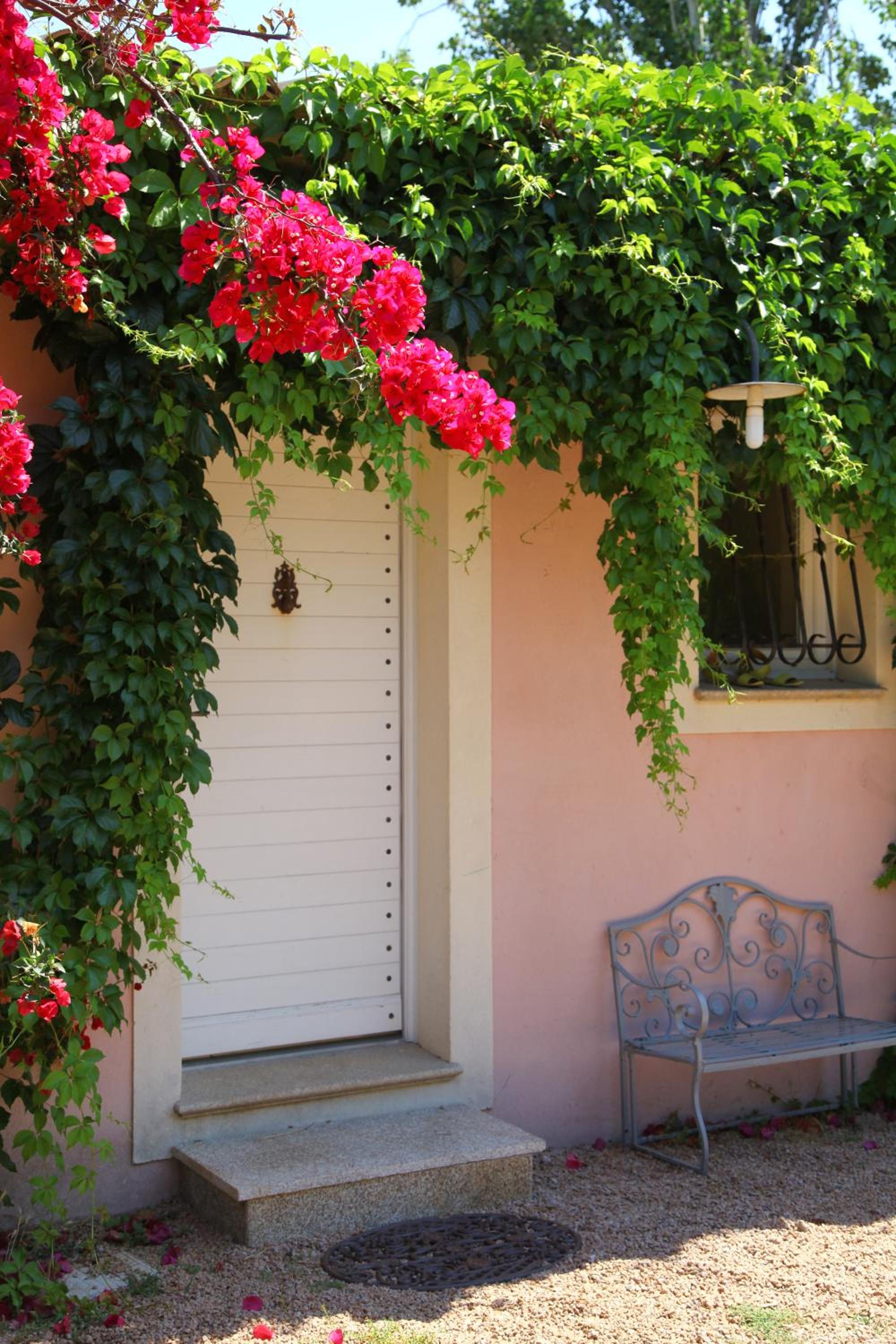 Villas les Residences de Scaglione view 5