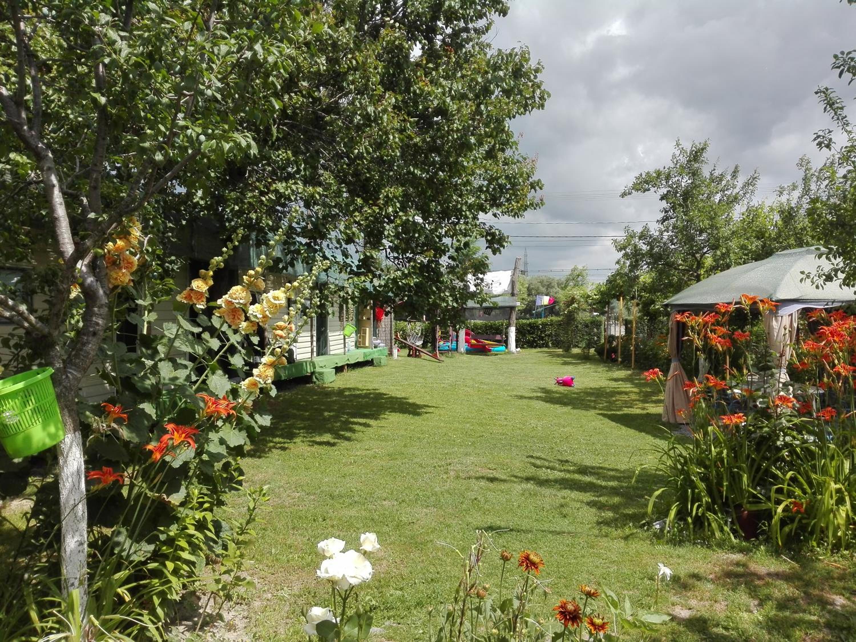 Photo 25