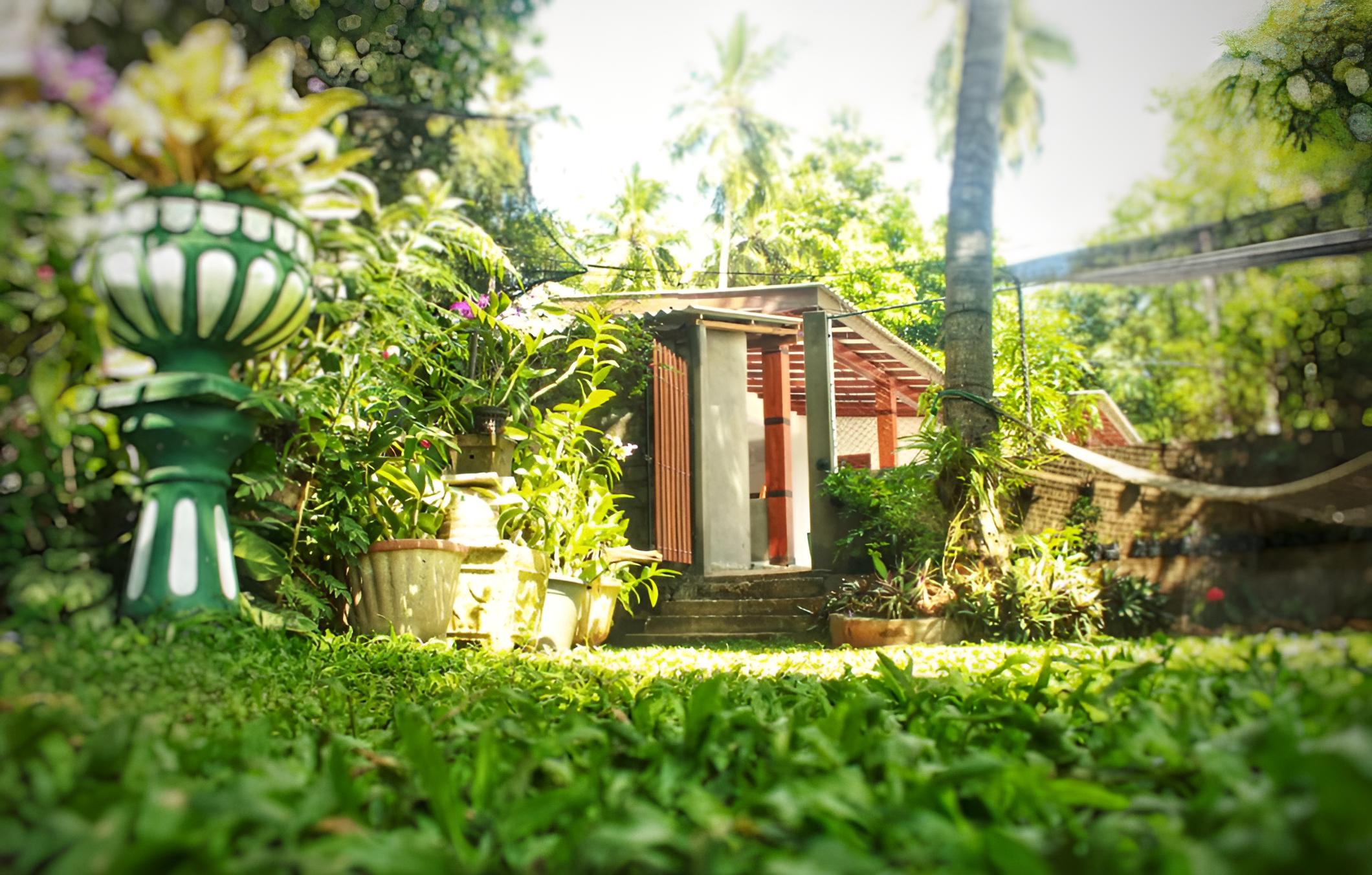 garden