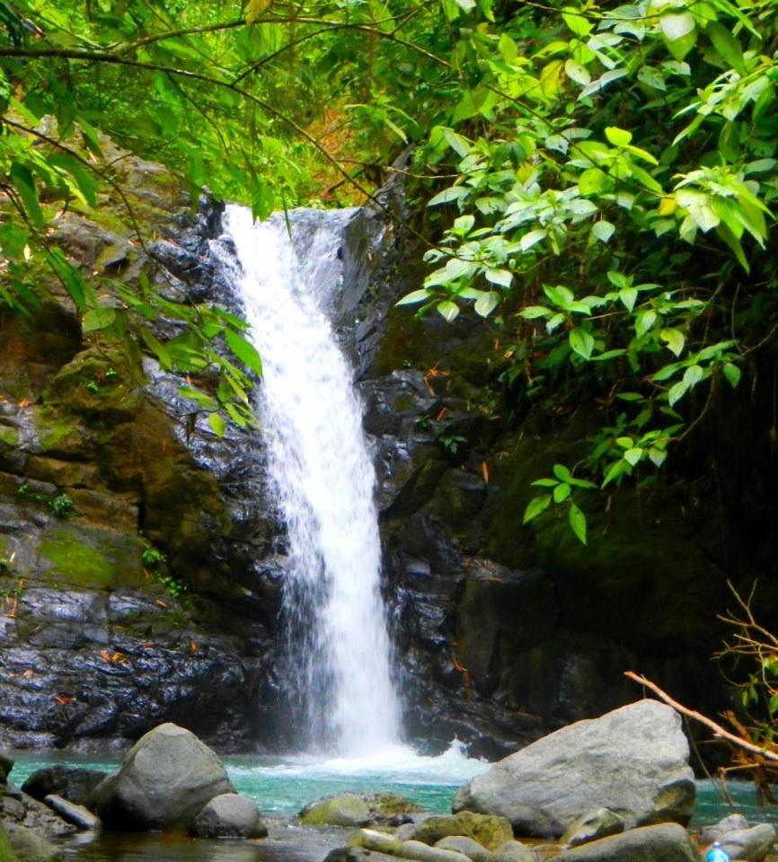 Hotel Big Bamboo de Uvita - Image 1