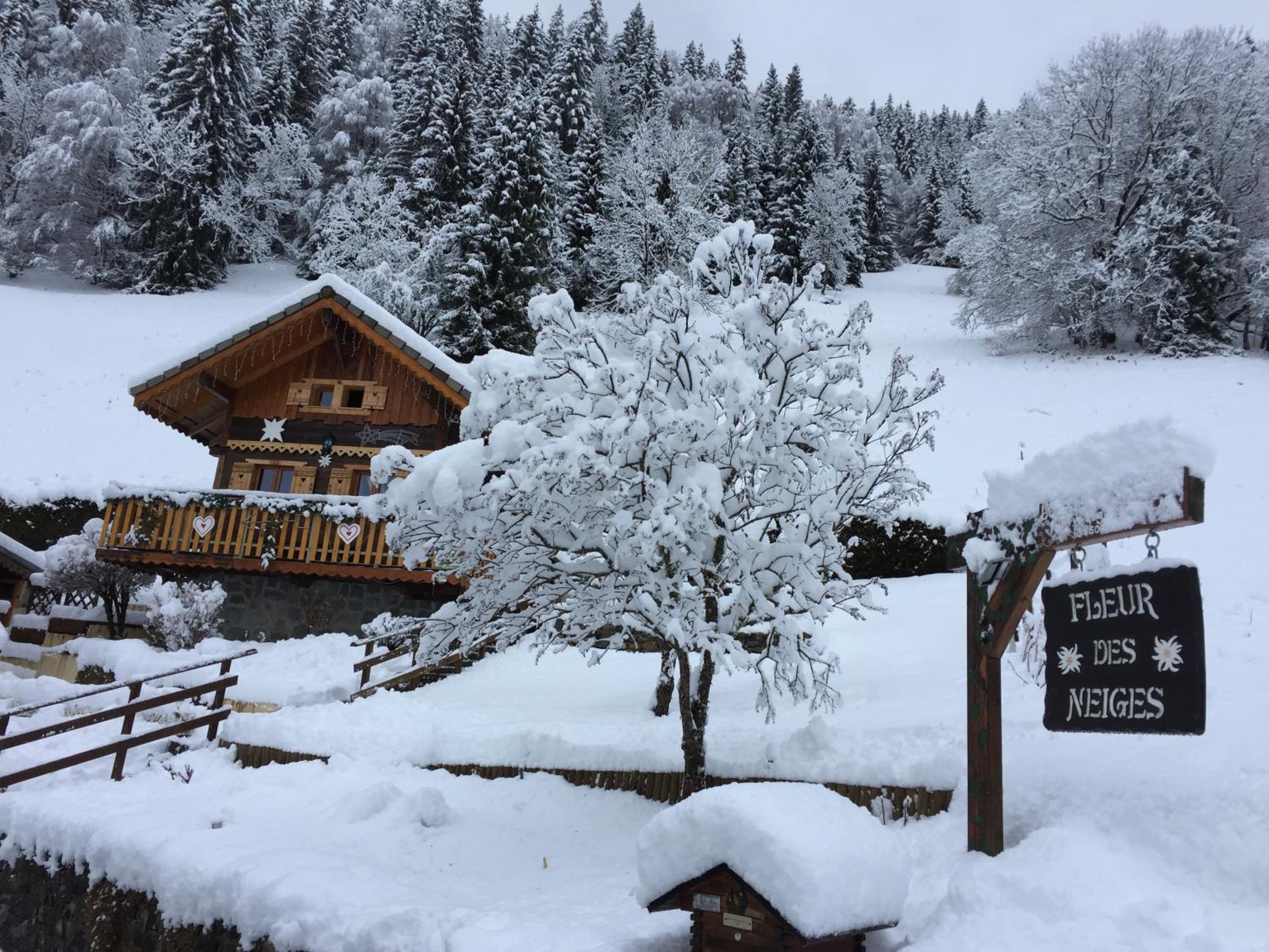 Chalet Fleur des Neiges photo 3