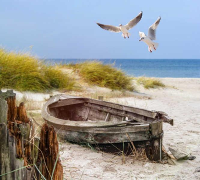 Haus am Meer Ostsee Insel Rügen Fischerweg 3 Wlan