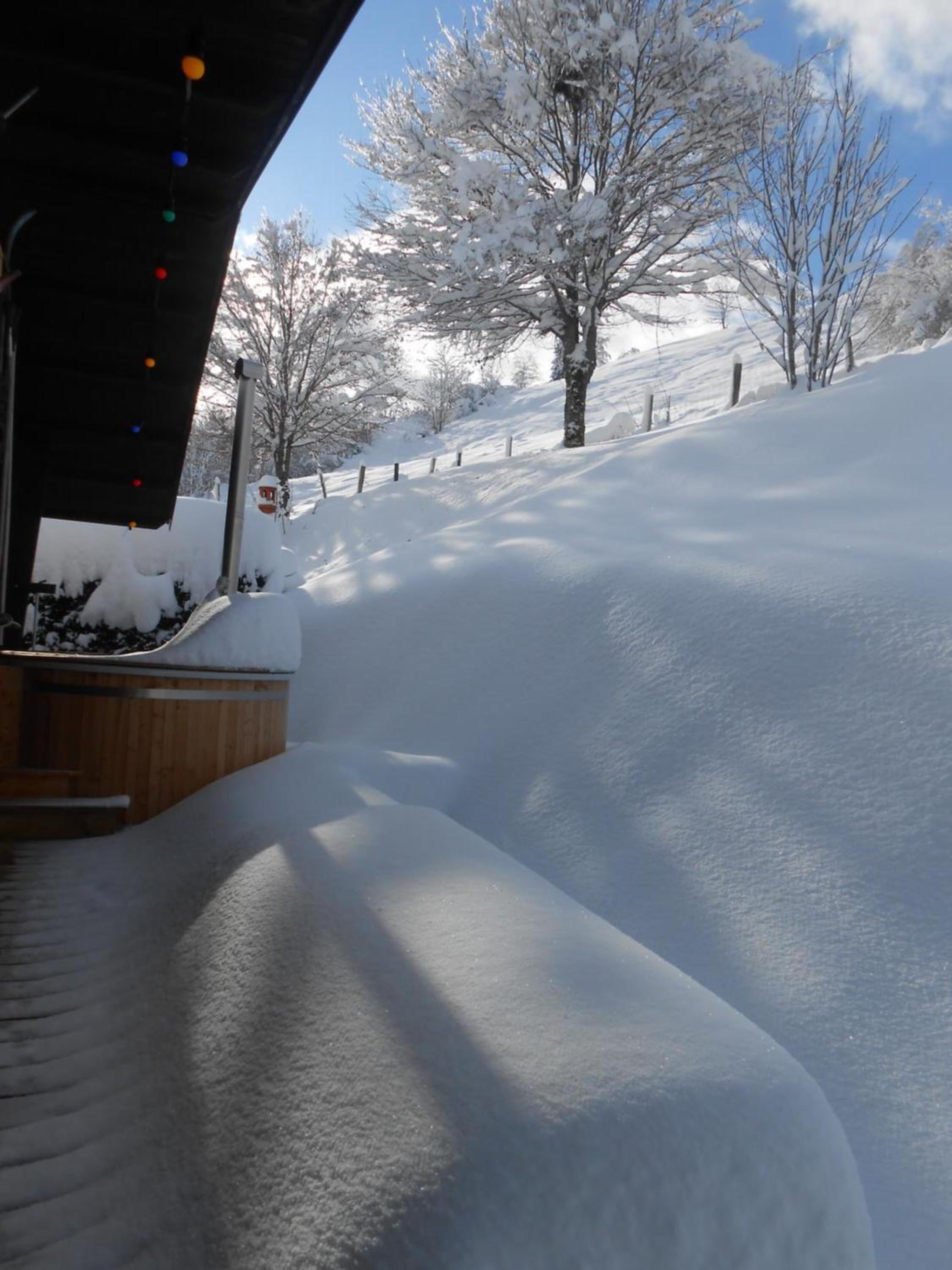 Chalet Le Vintage