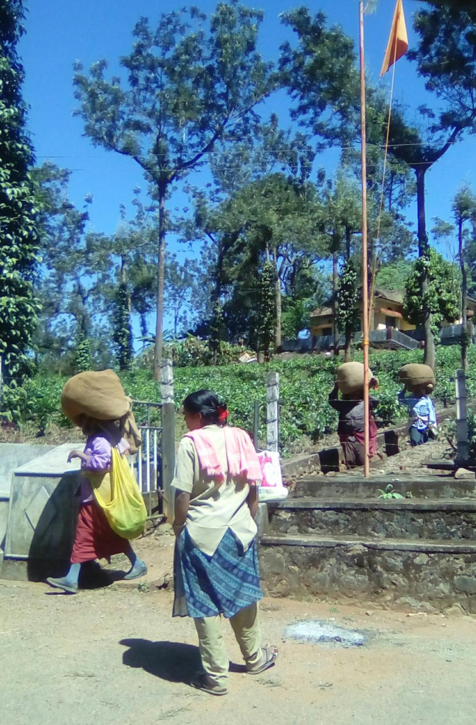 children's play area