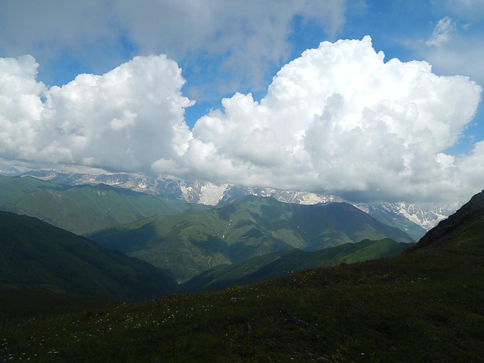 Photo 43
