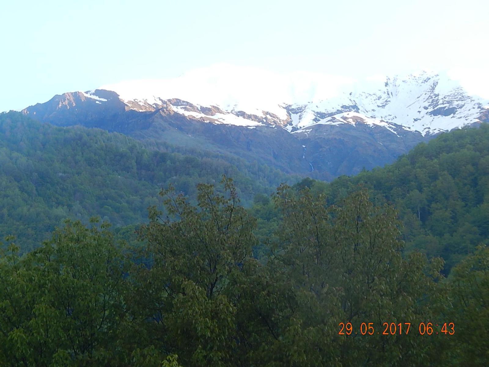 Photo 49