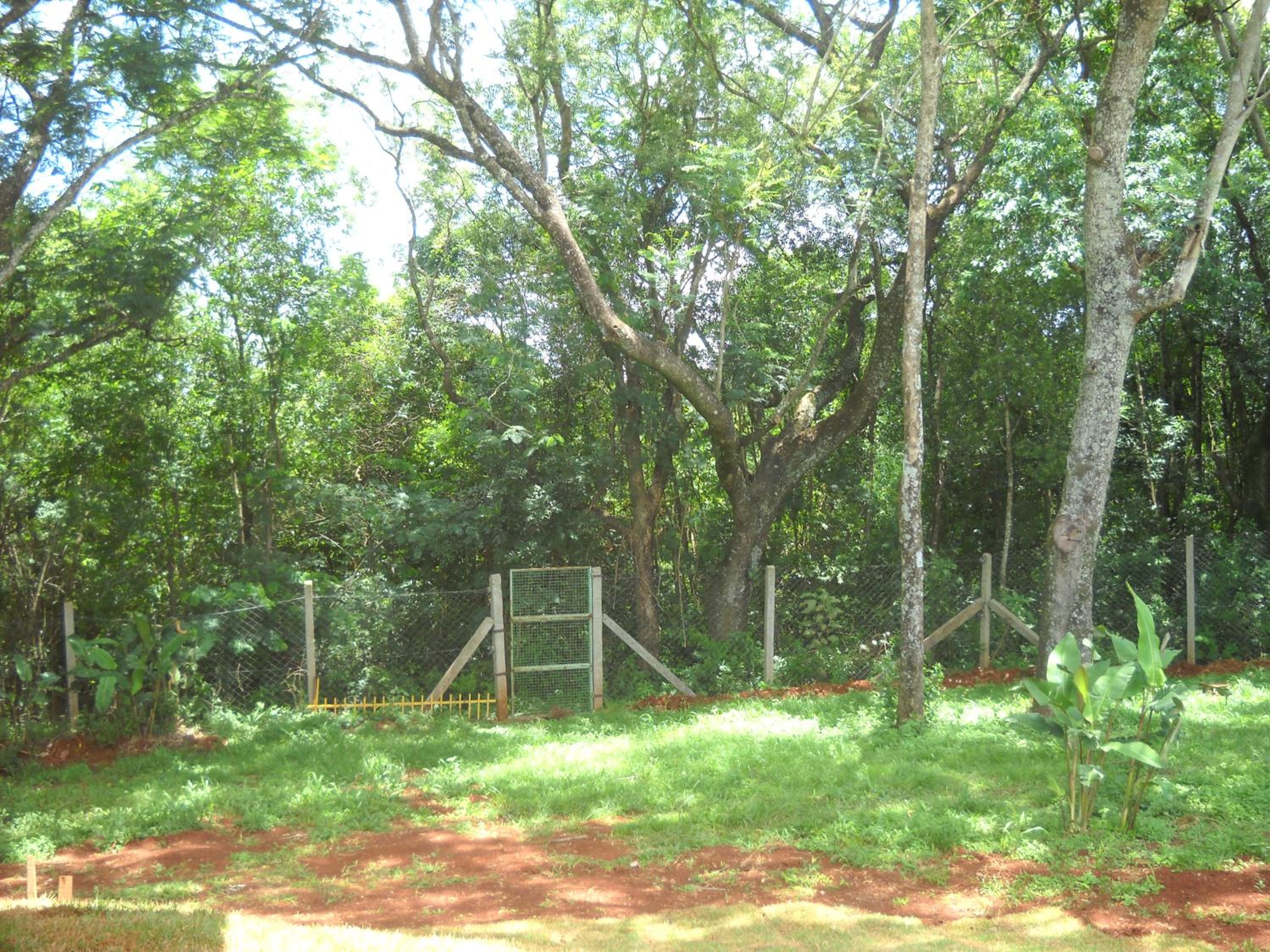 Pousada Chácara Mamma Gaia view 3