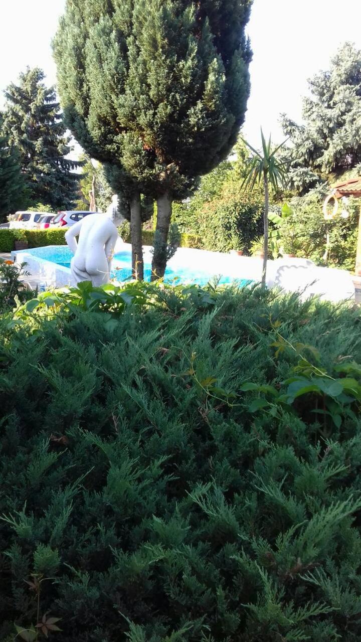 Photo 44