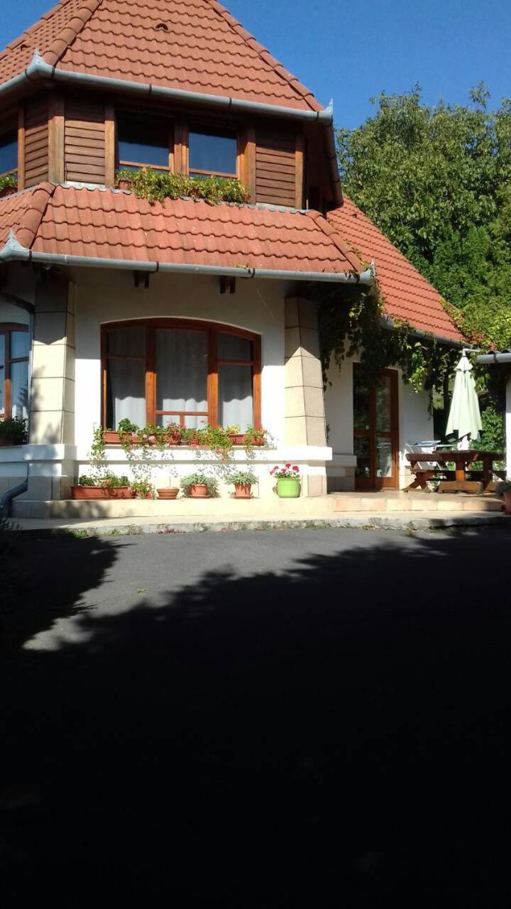 Palatinus Apartmanok view 3