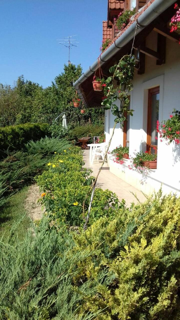 Photo 46