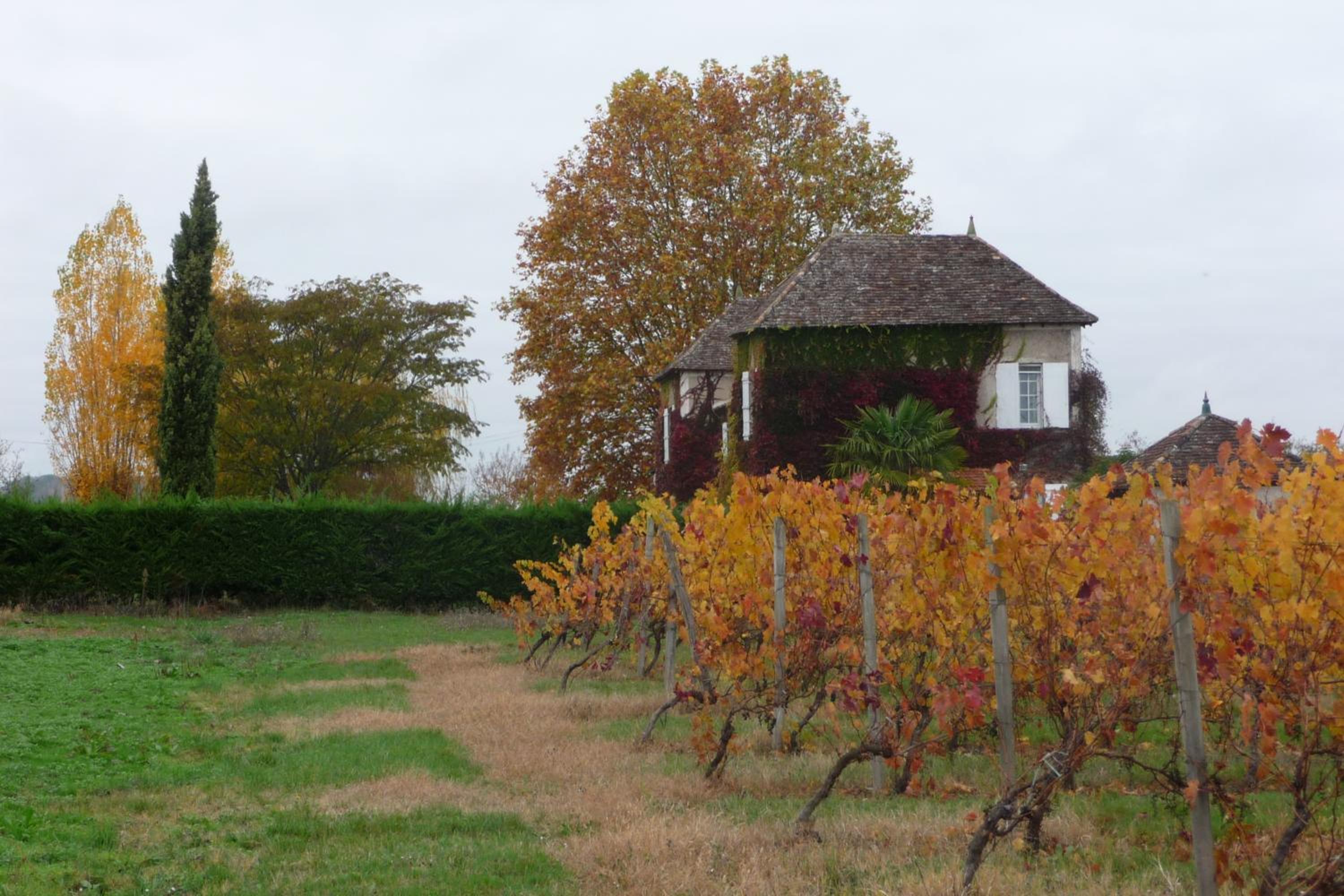 Domaine de la Queyssie view 5