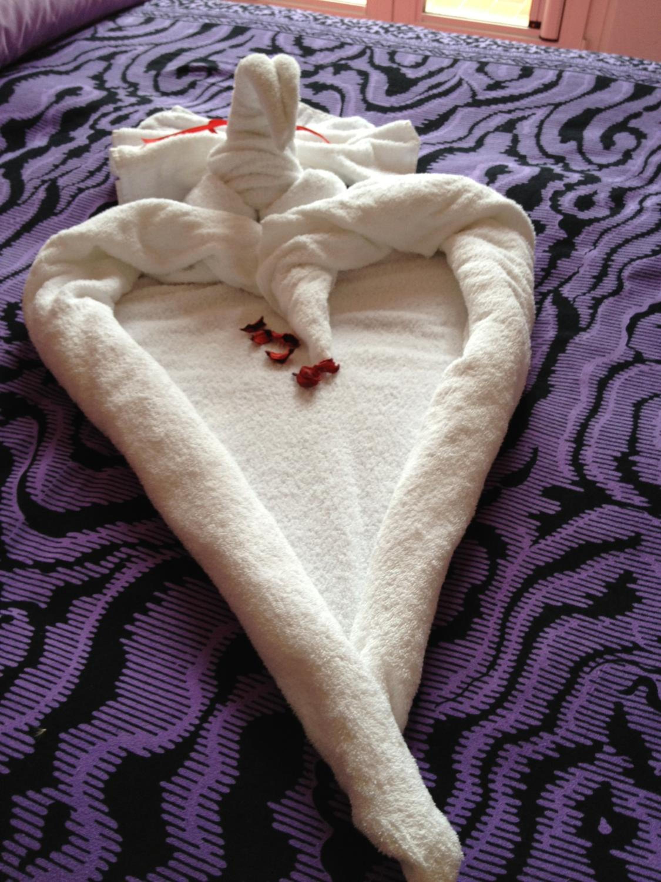 Photo 33