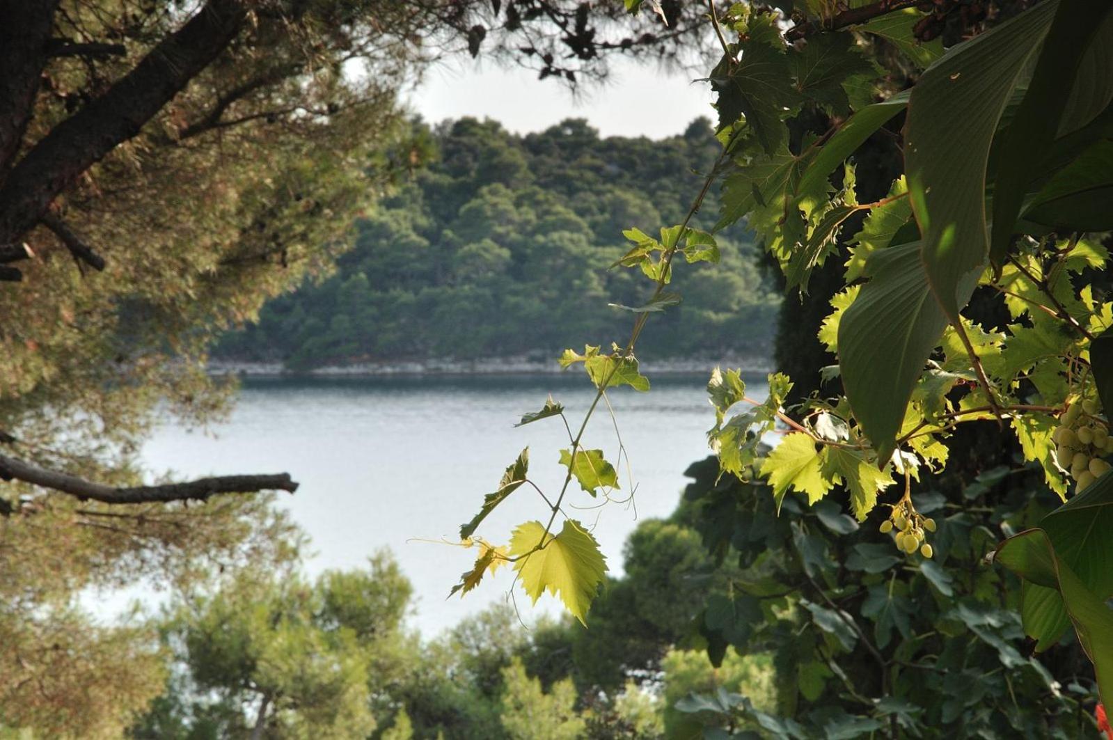 Luka view 4