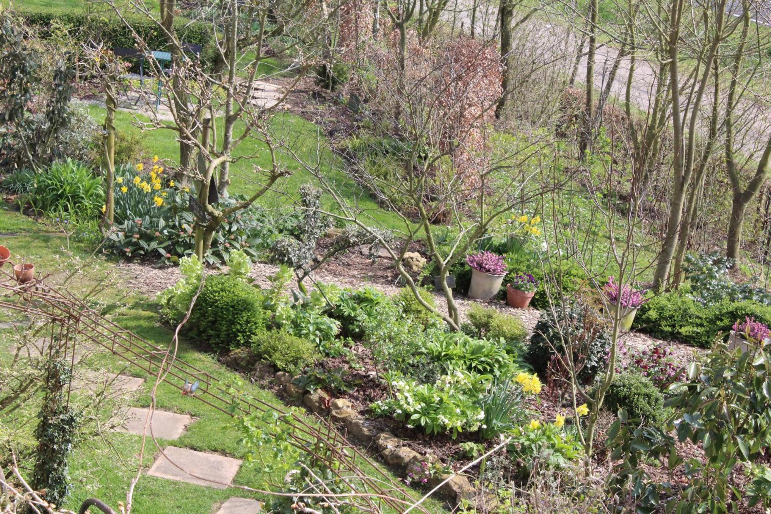 Au Jardin Des Violettes view 2