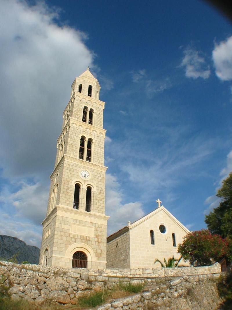 Photo 44