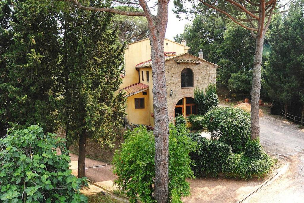 Photo 11