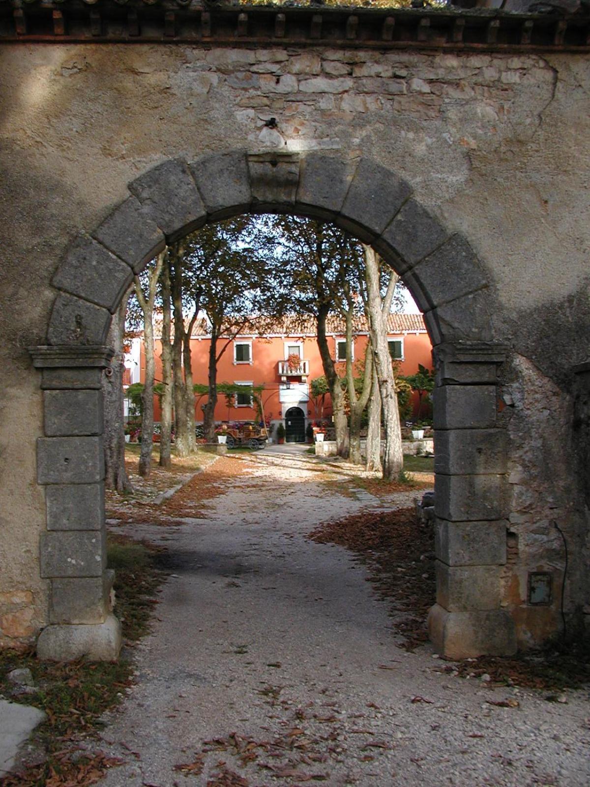 Photo 21