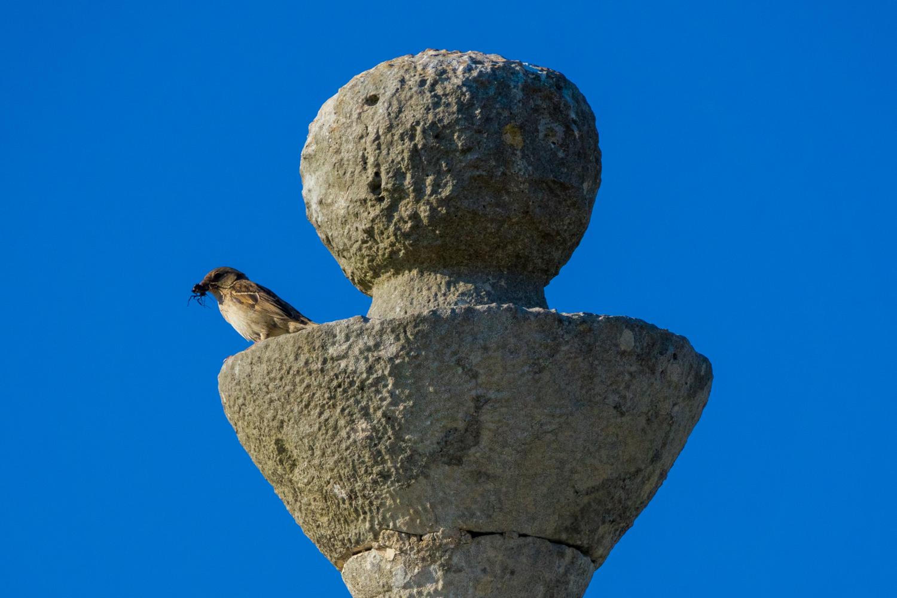 Trullo la Quiete view 5