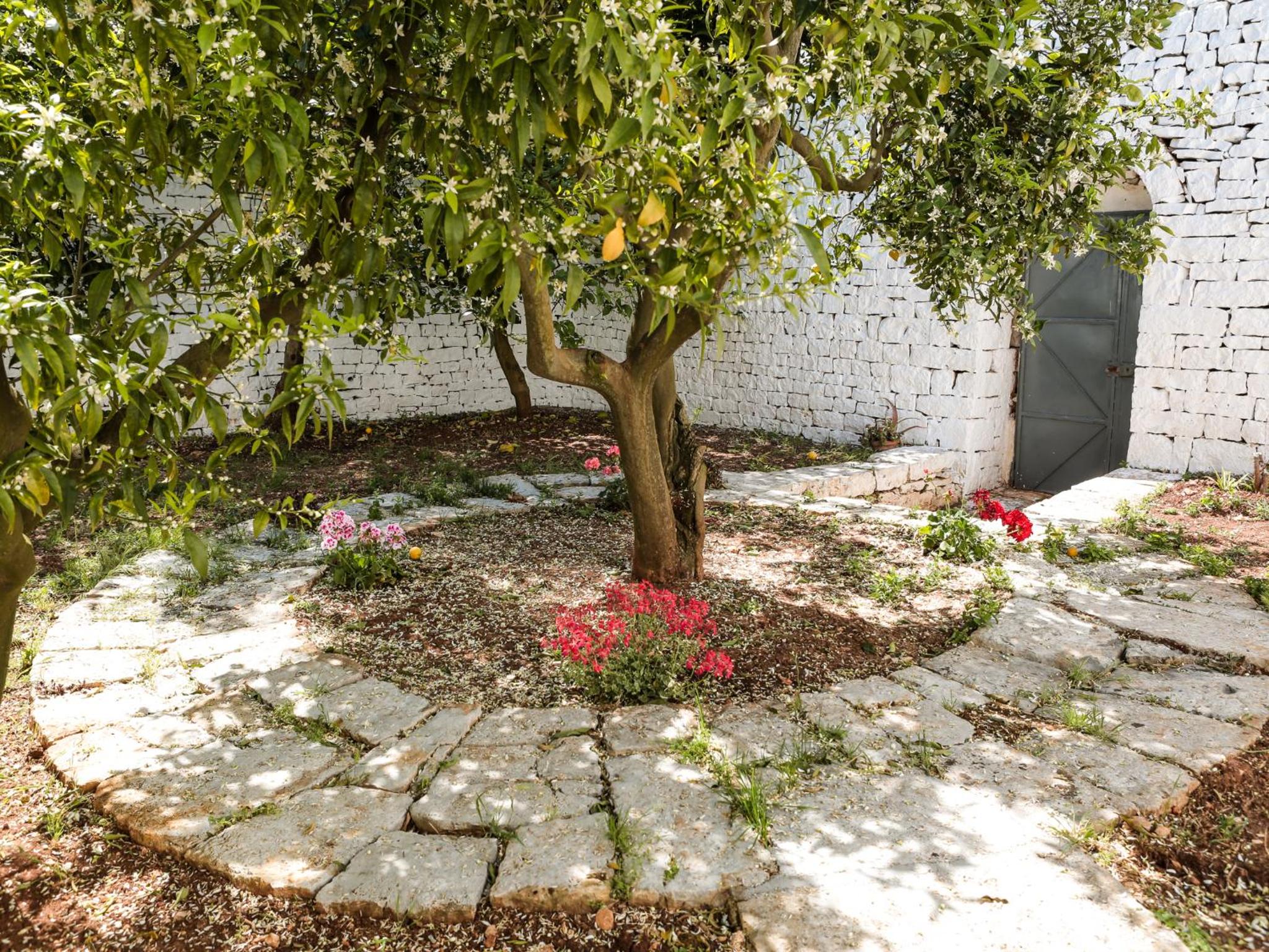 B&B La Collina Degli Ulivi