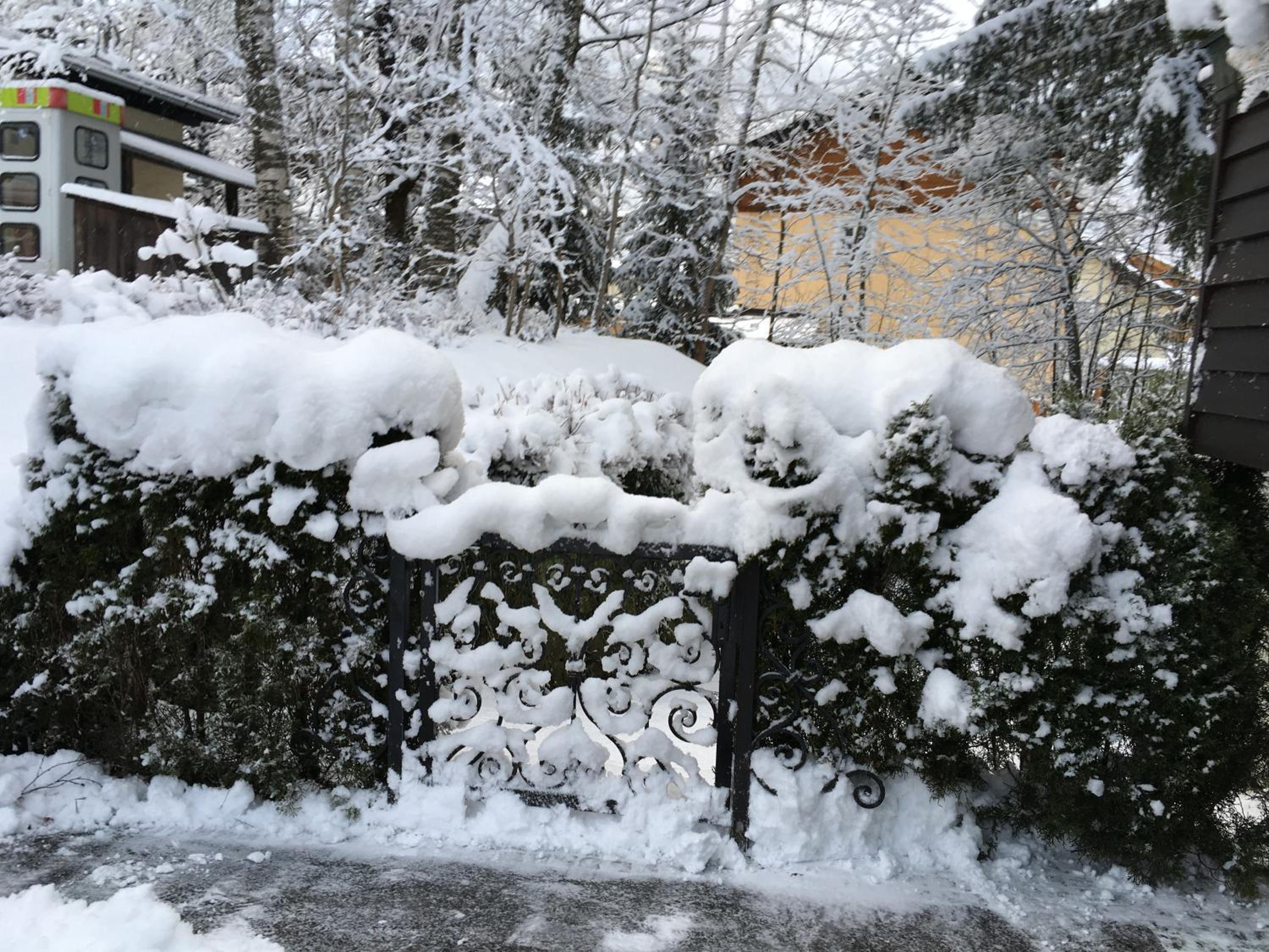 Alte Schmiede