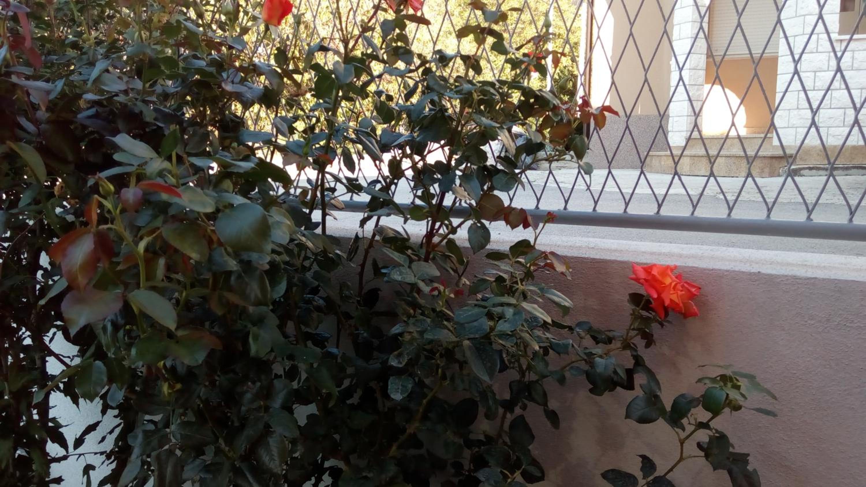 Podstrana Vacations - Apartment Sunce - Property Image 19