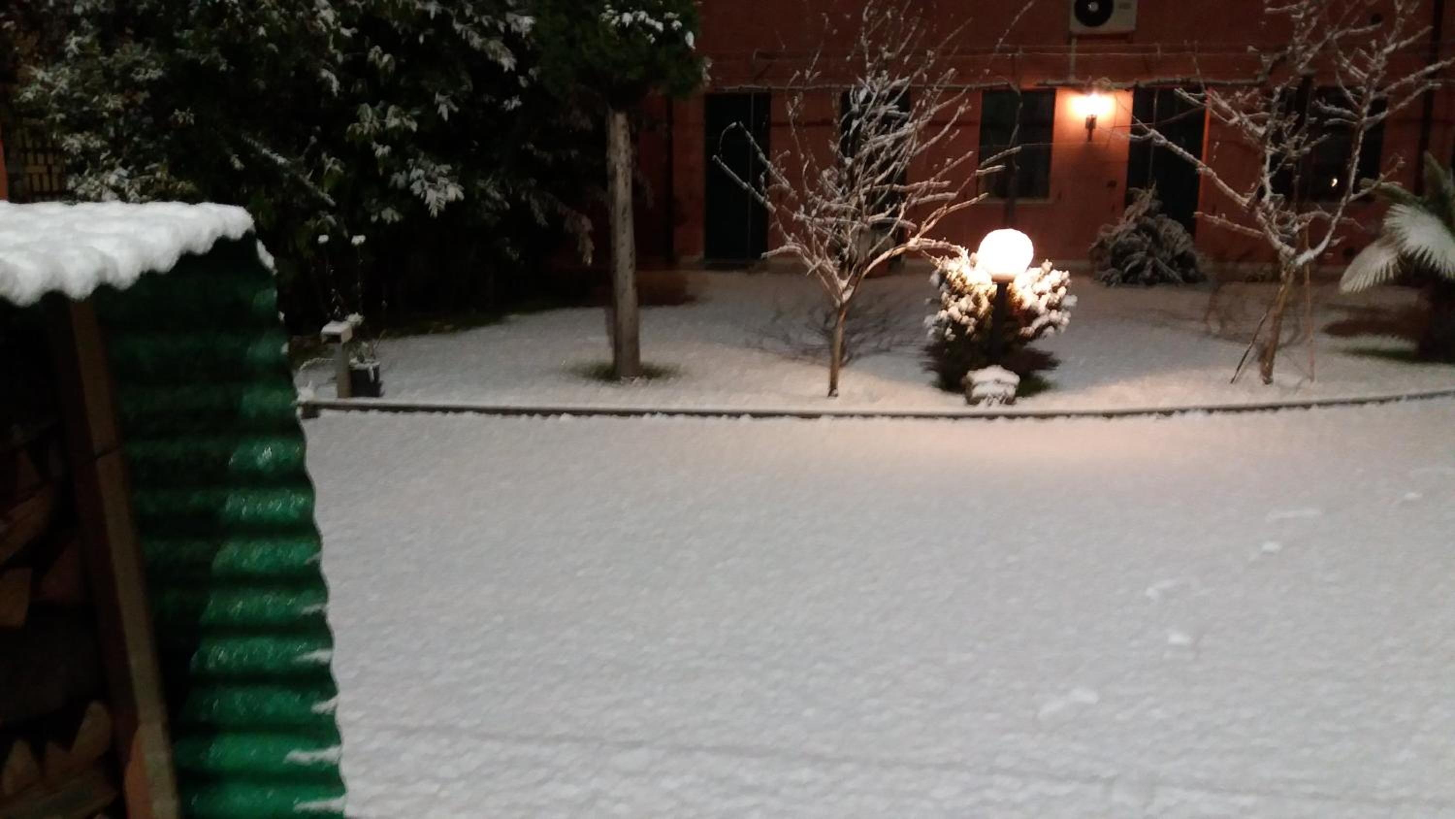 Photo 12