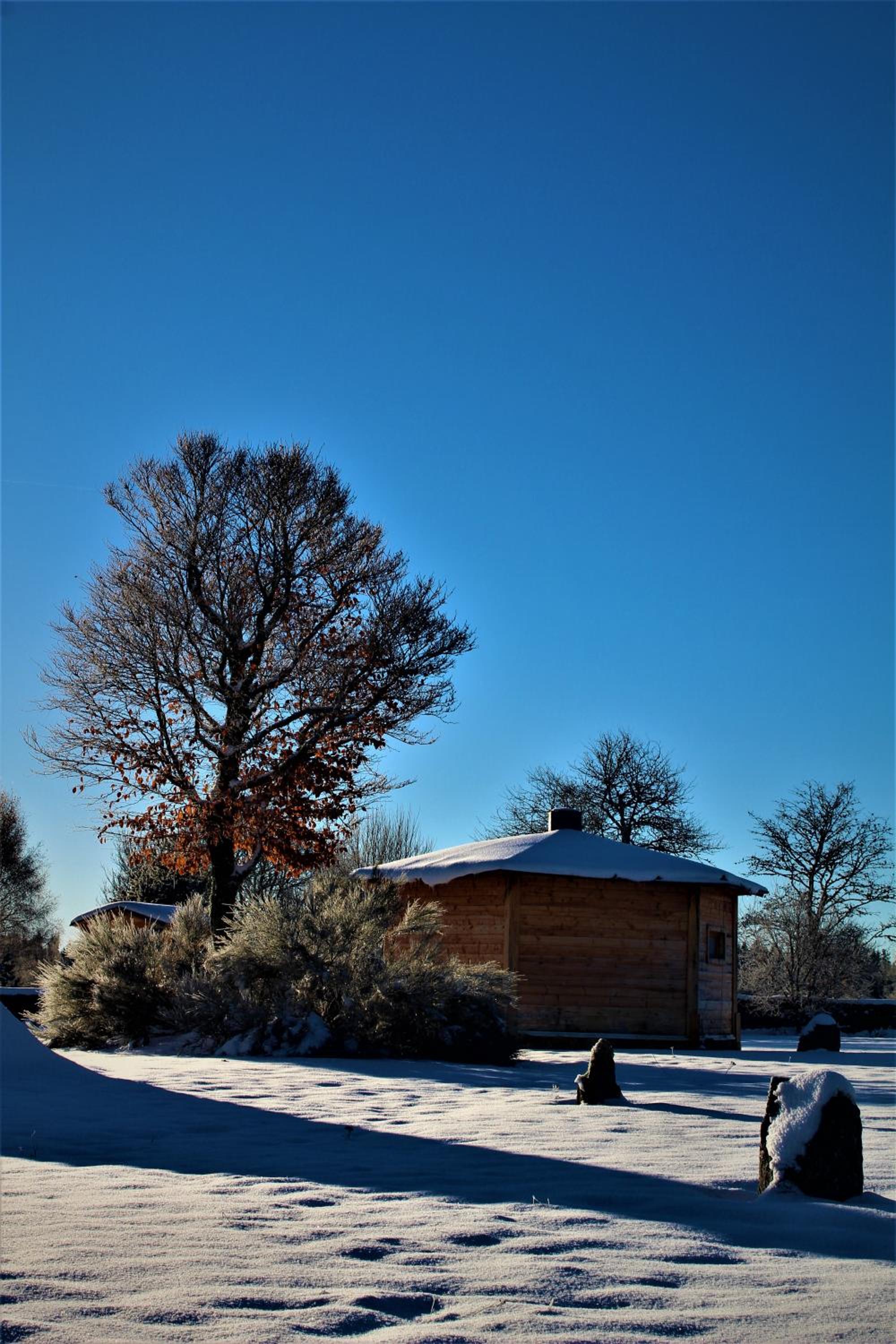 Photo 7