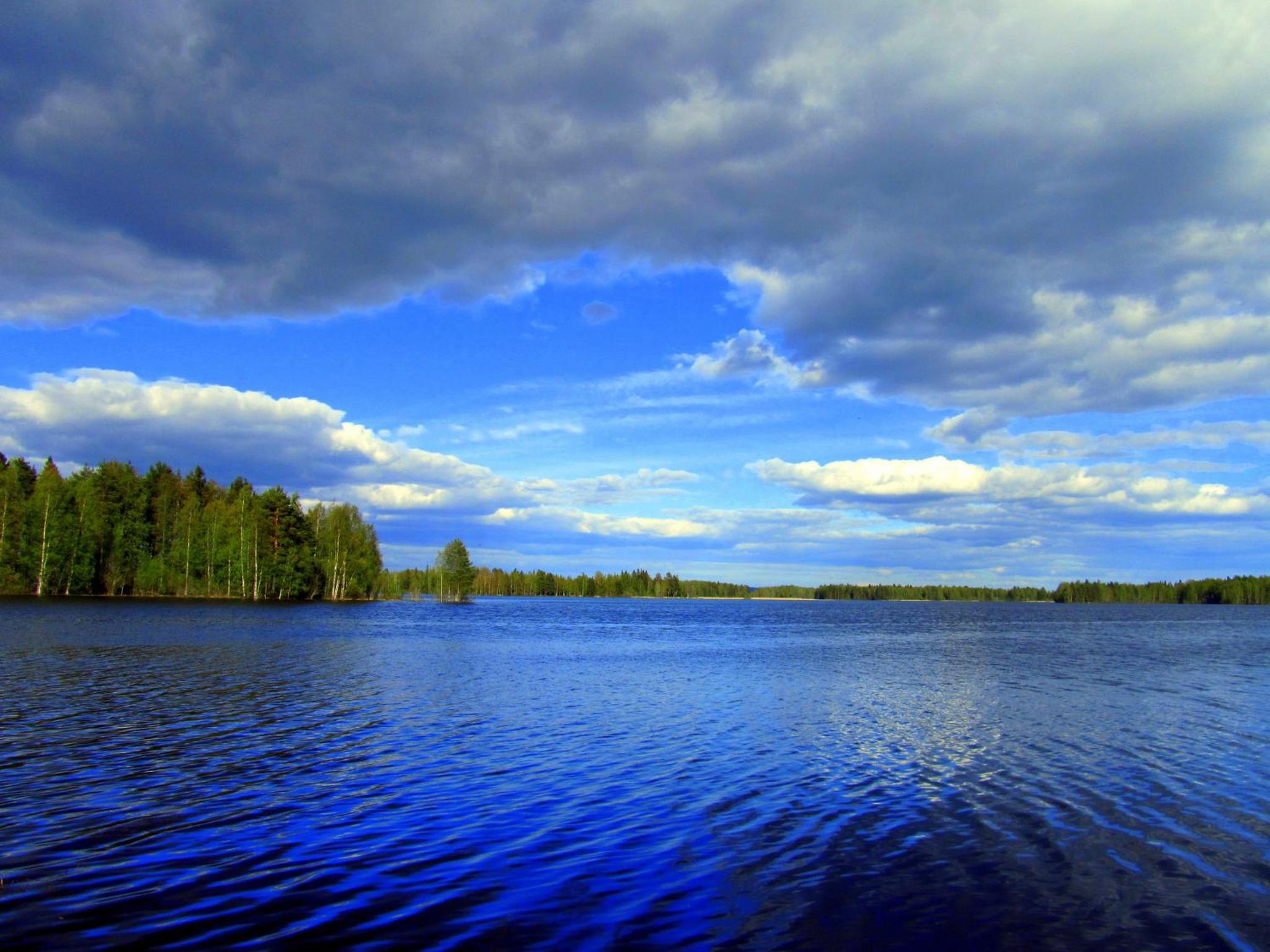 Photo 40