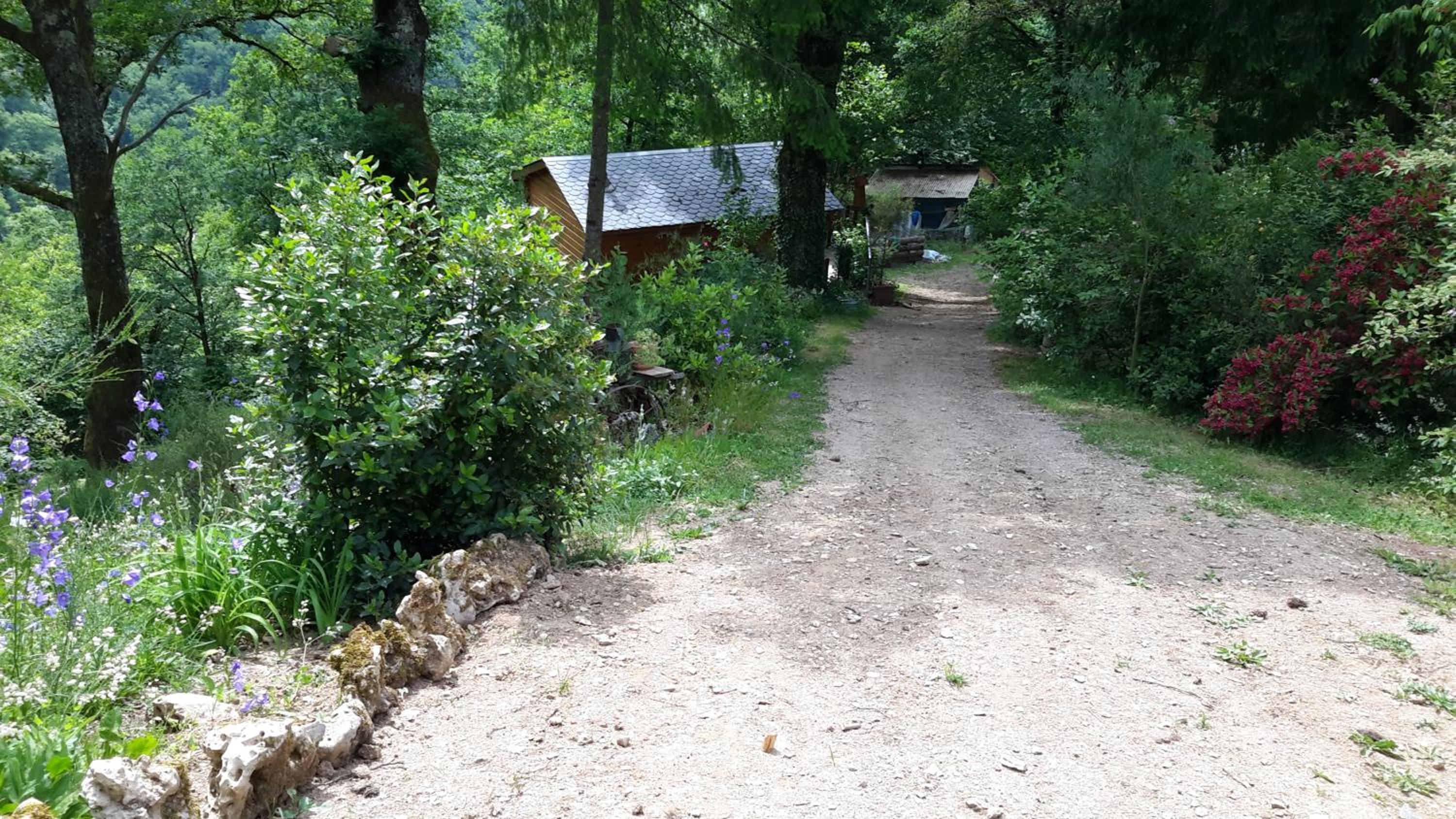 Photo 11