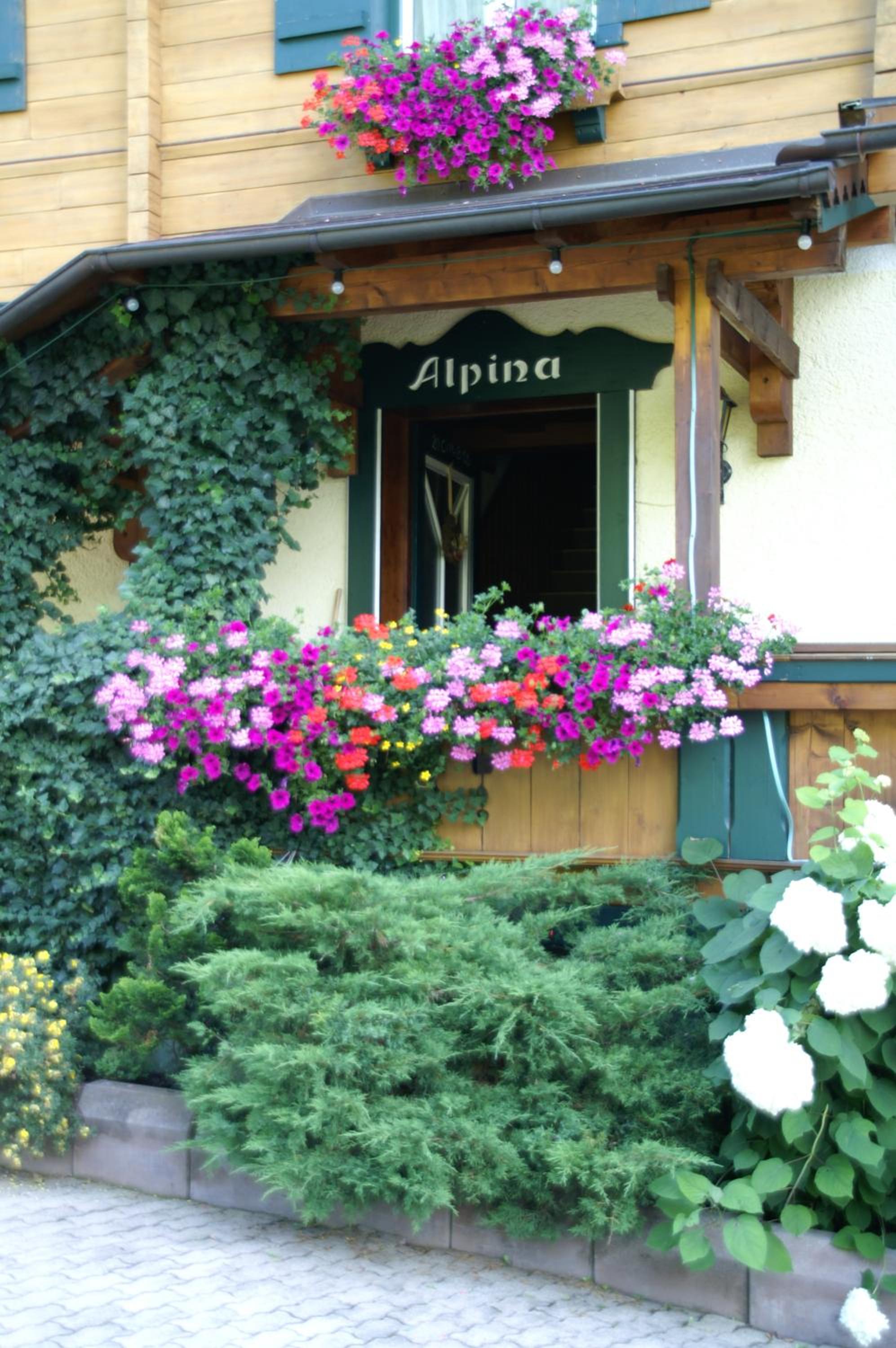 Haus Alpina — 11