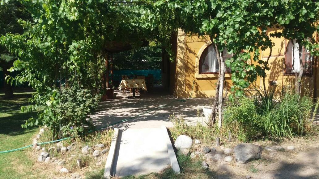 Casa Rural entre Bodegas y Viñedos ' El Jarillal