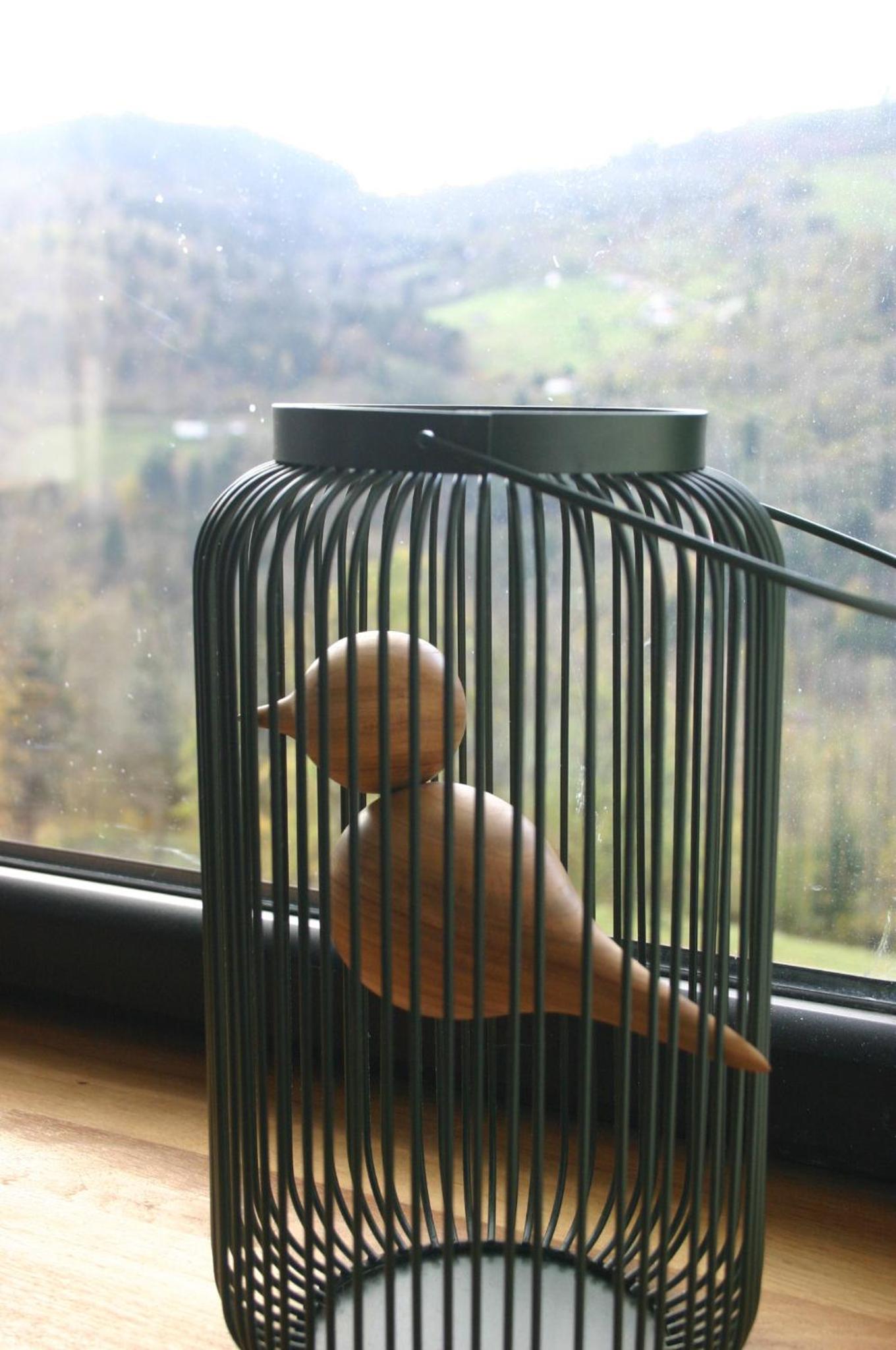 Photo 45