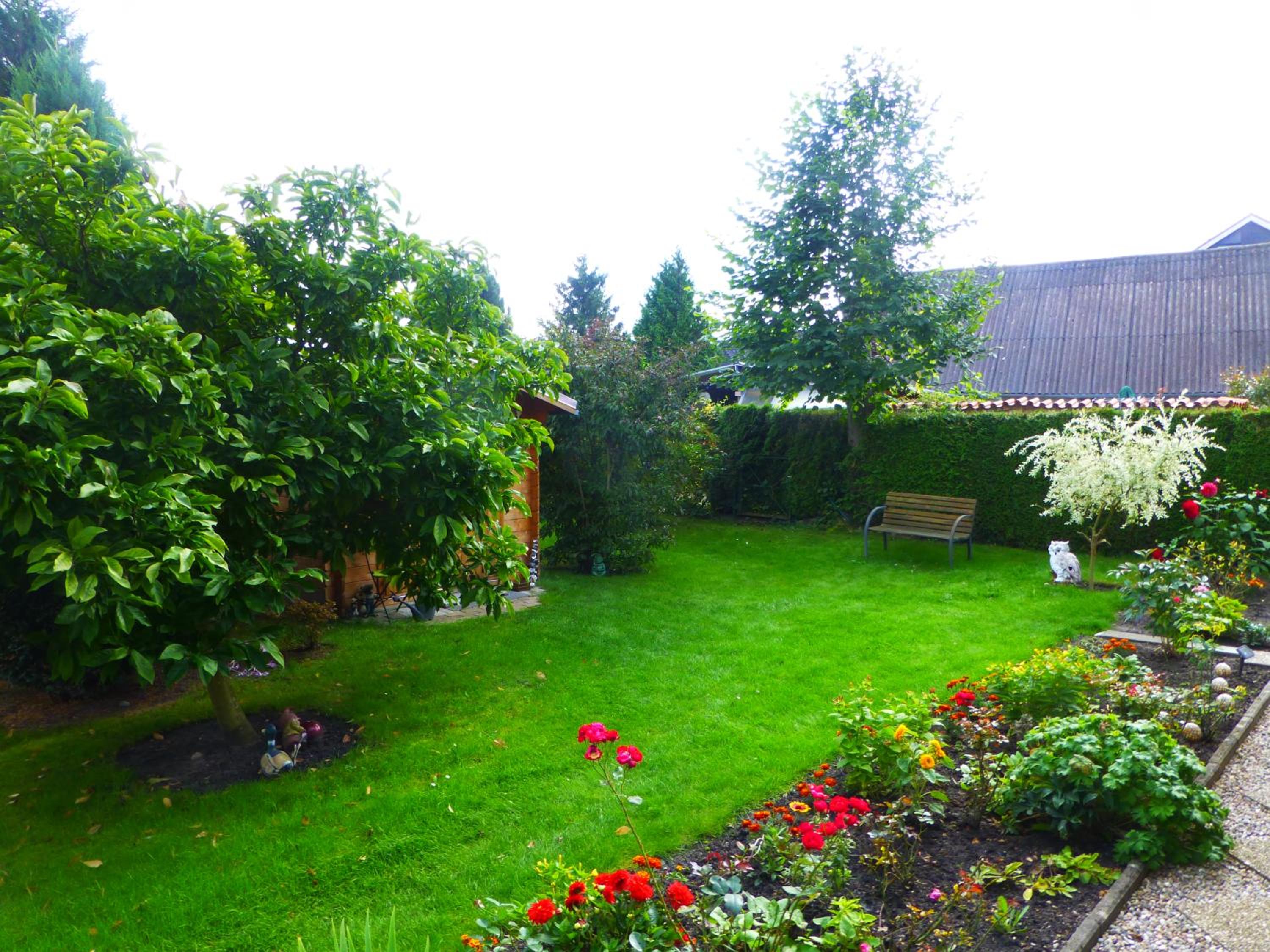 Photo 15