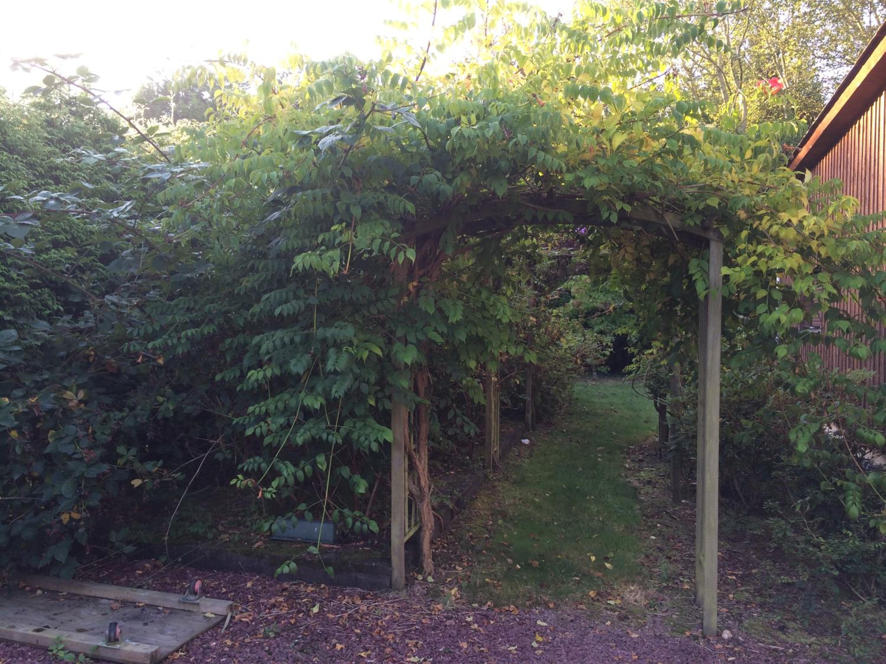 Photo 26