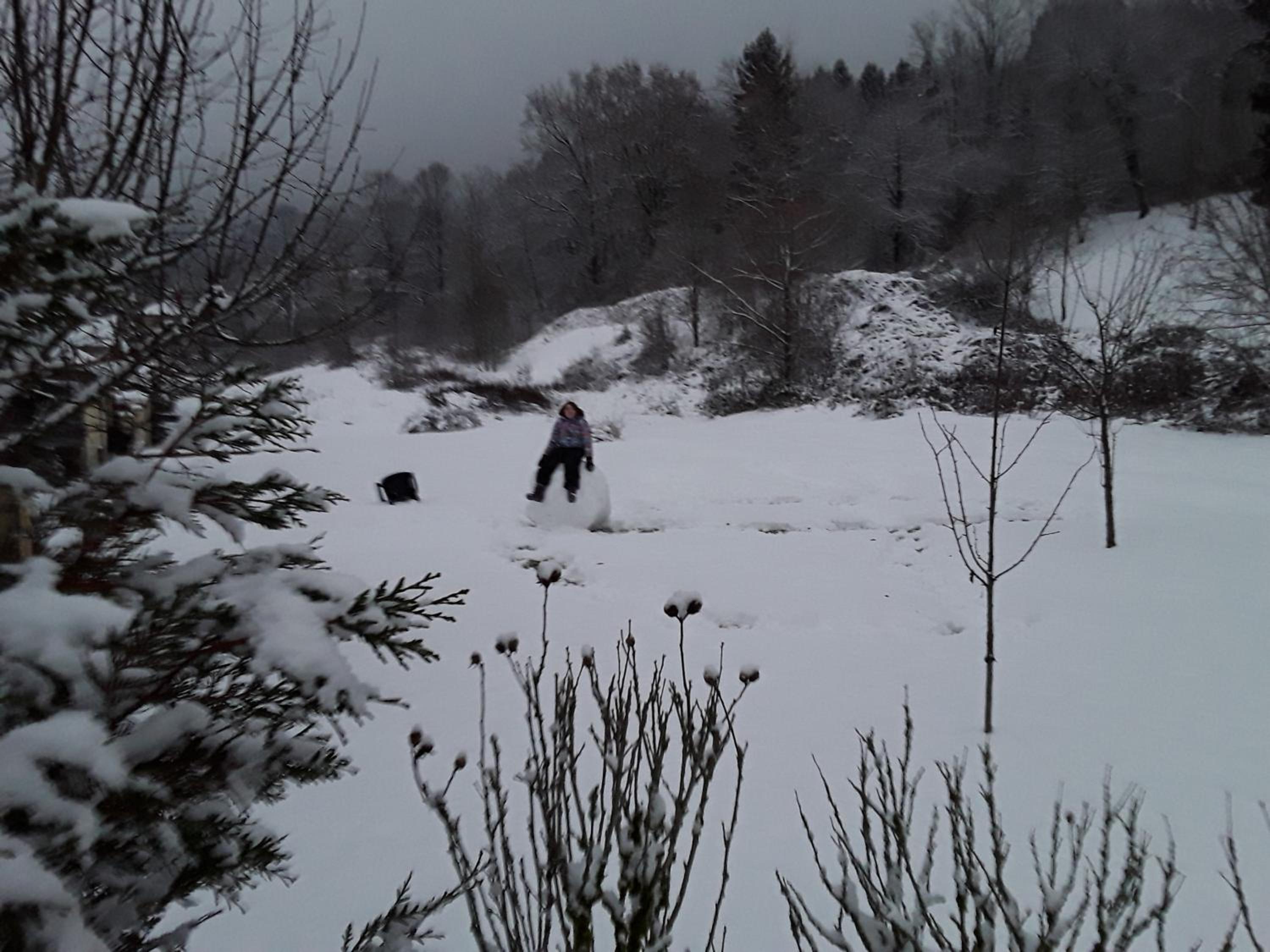 Photo 6