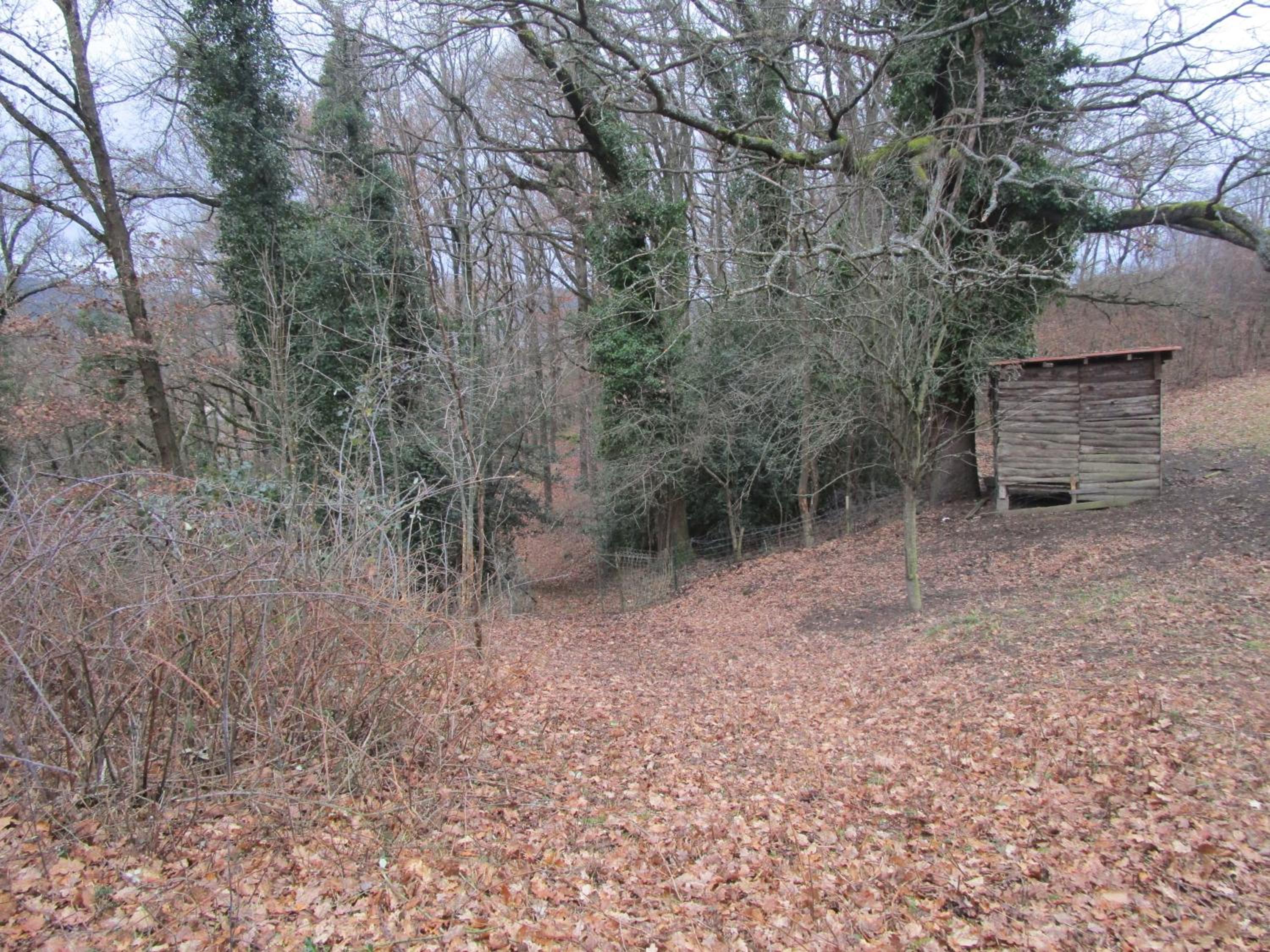 children's play area