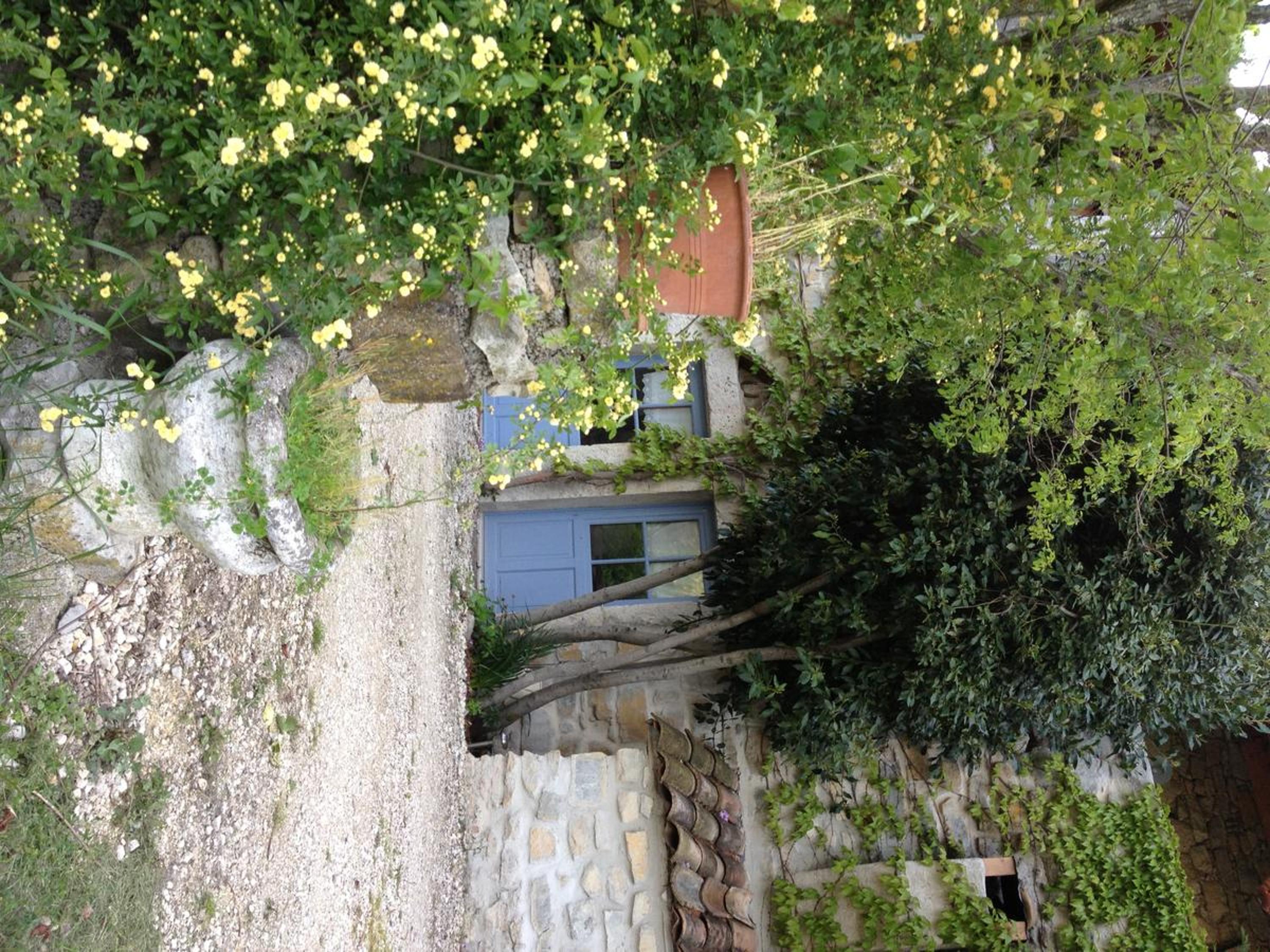 Photo 36