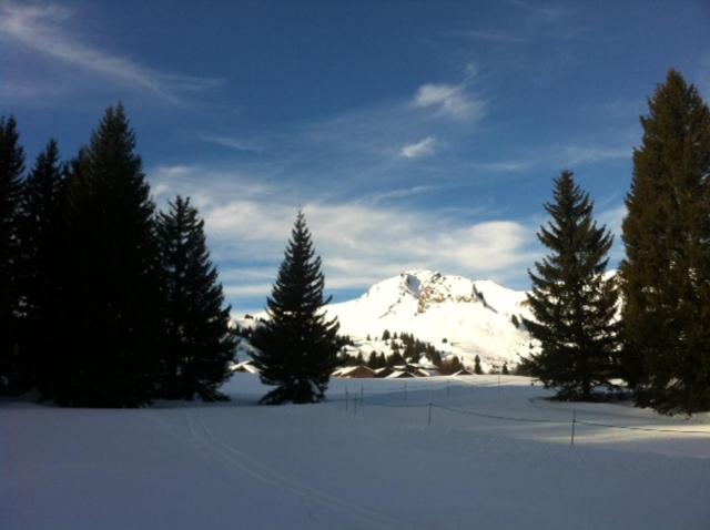 Terrasses Du Mont Blanc view 4