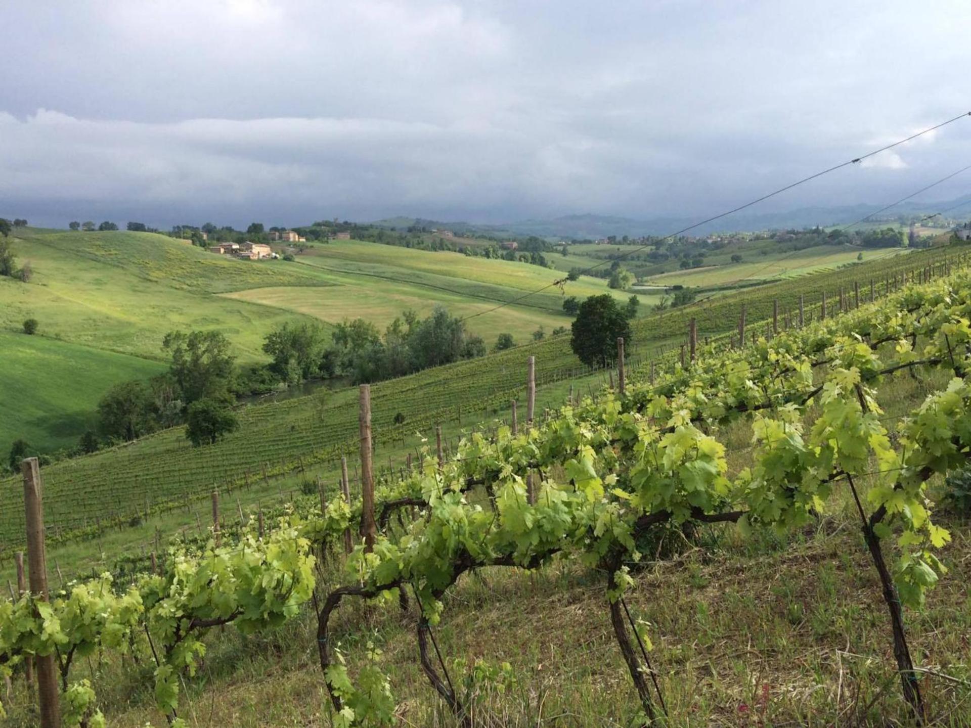 Il Giardino B&B