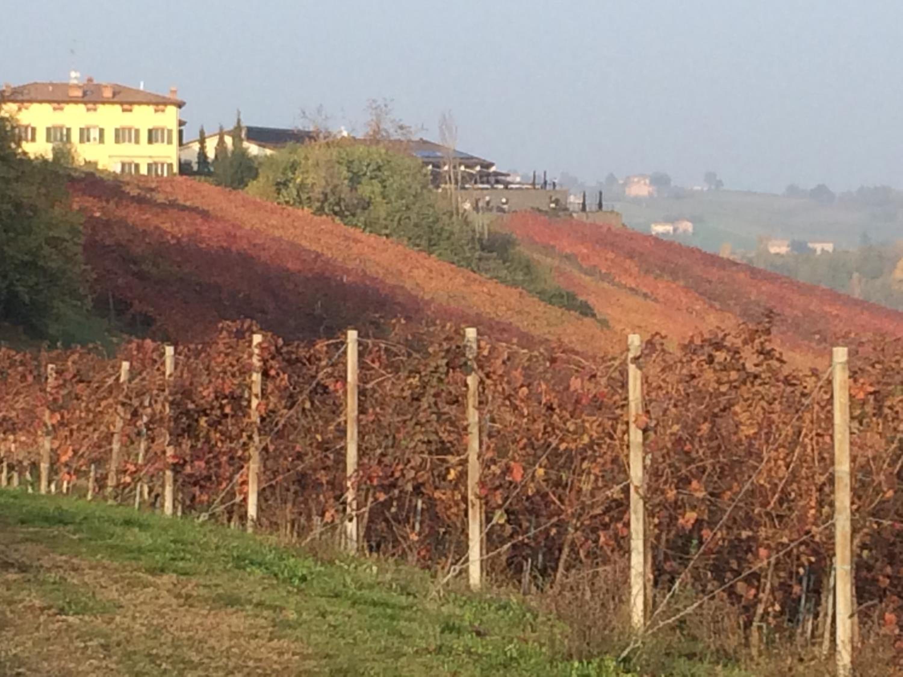 Il Giardino B&B