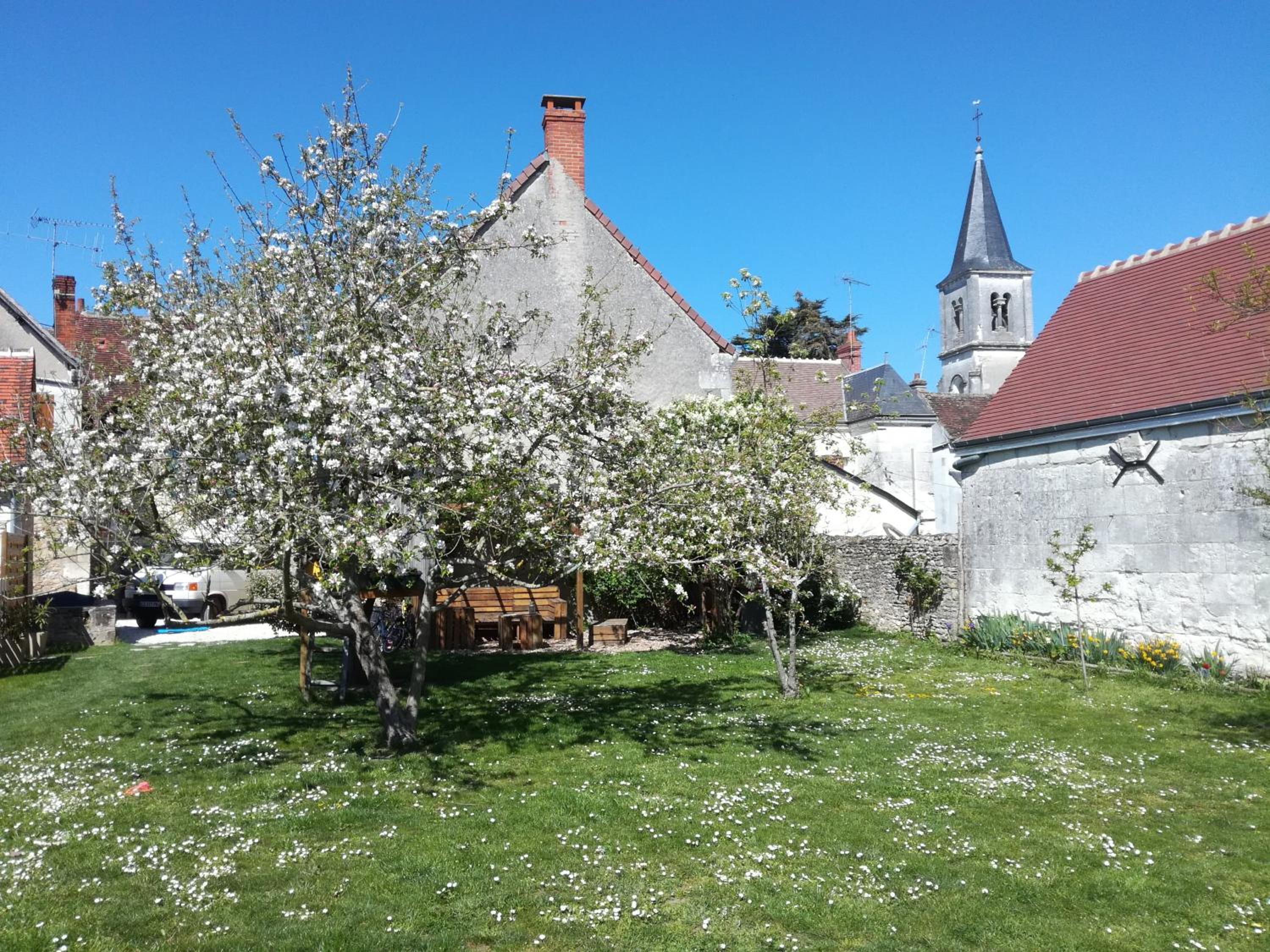 Photo 7
