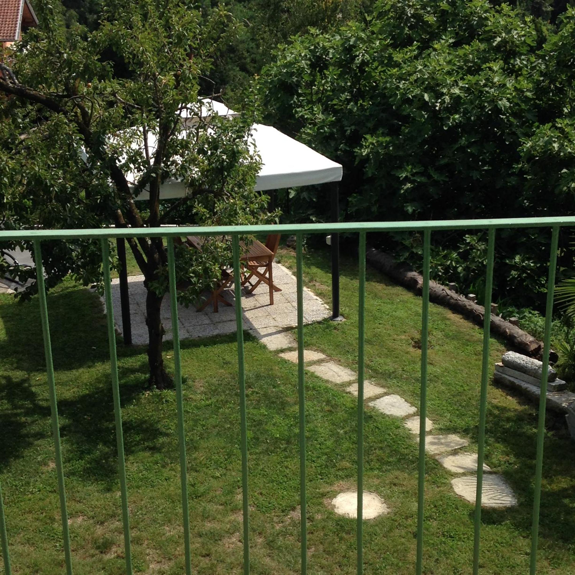 Photo 31