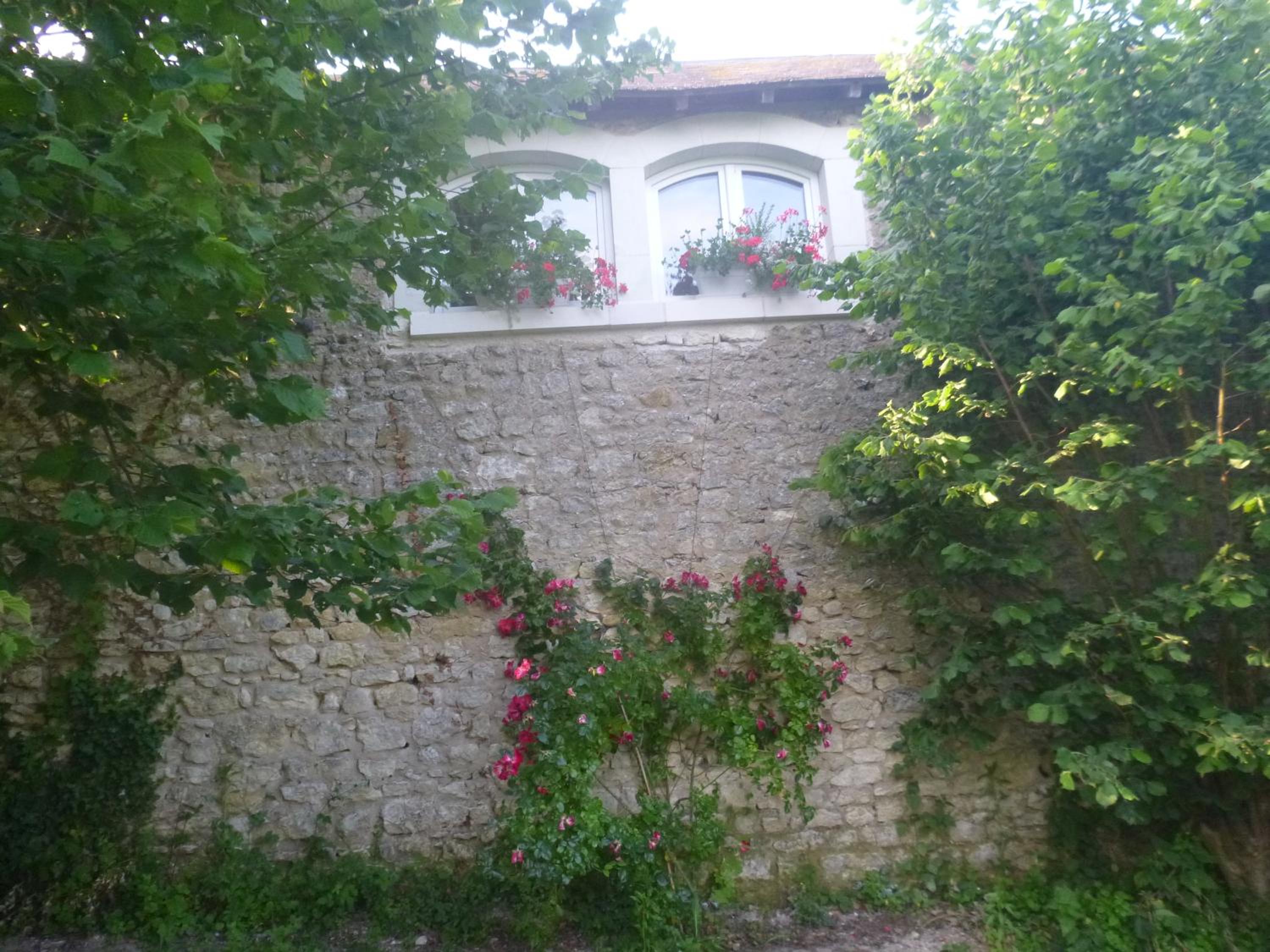 Photo 46