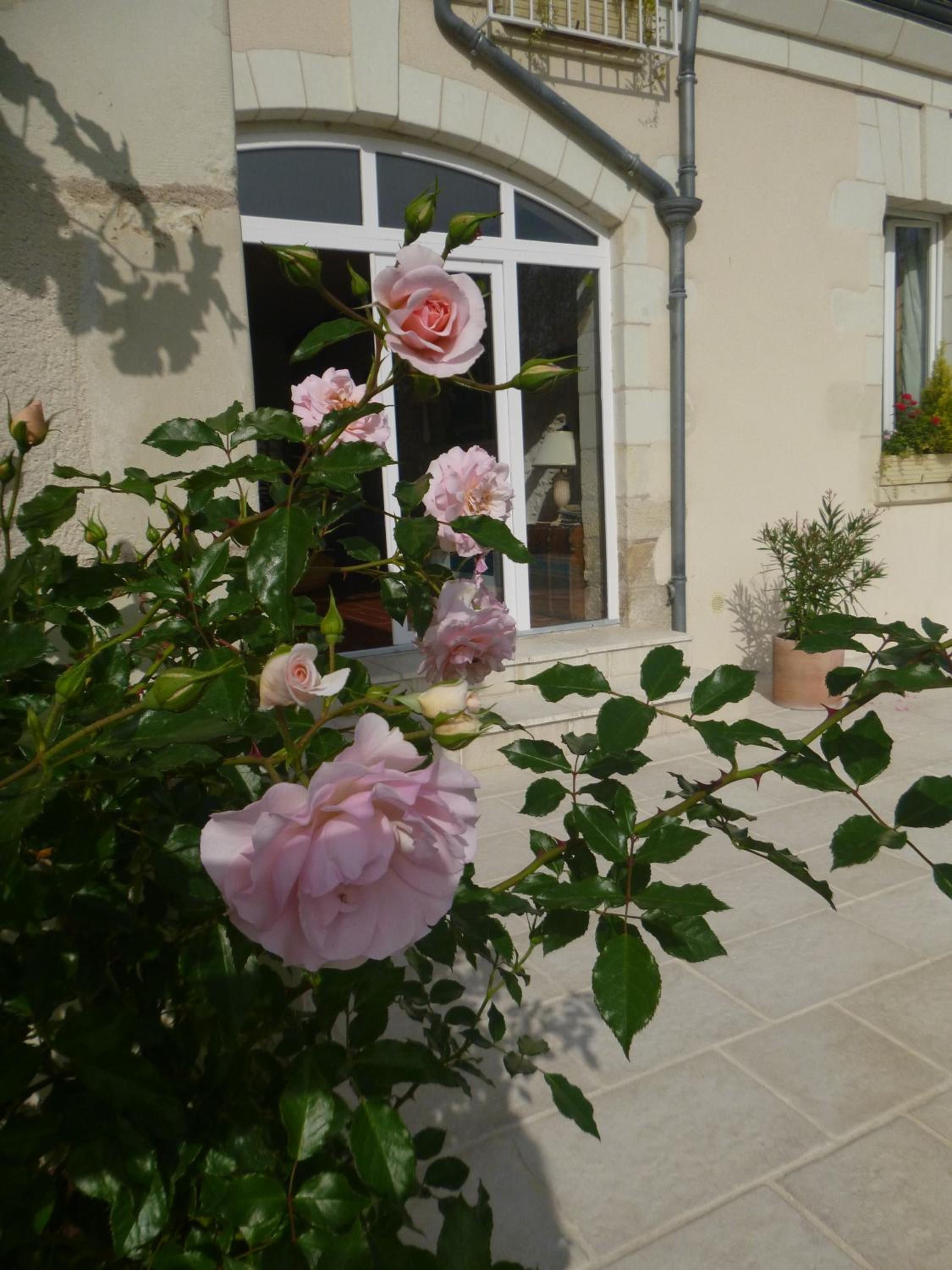 Photo 43