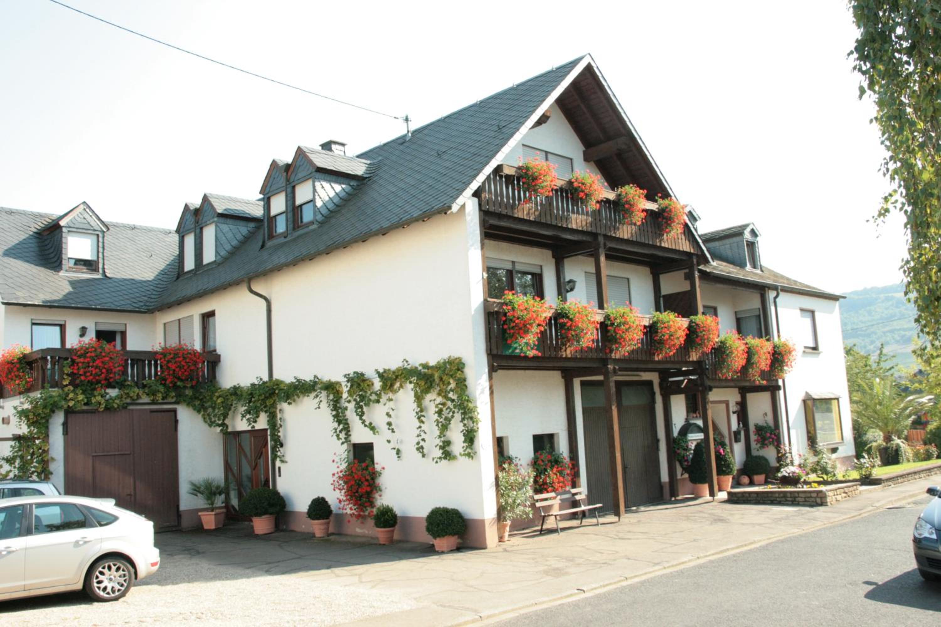 Weingut***Pension Günther Scholtes