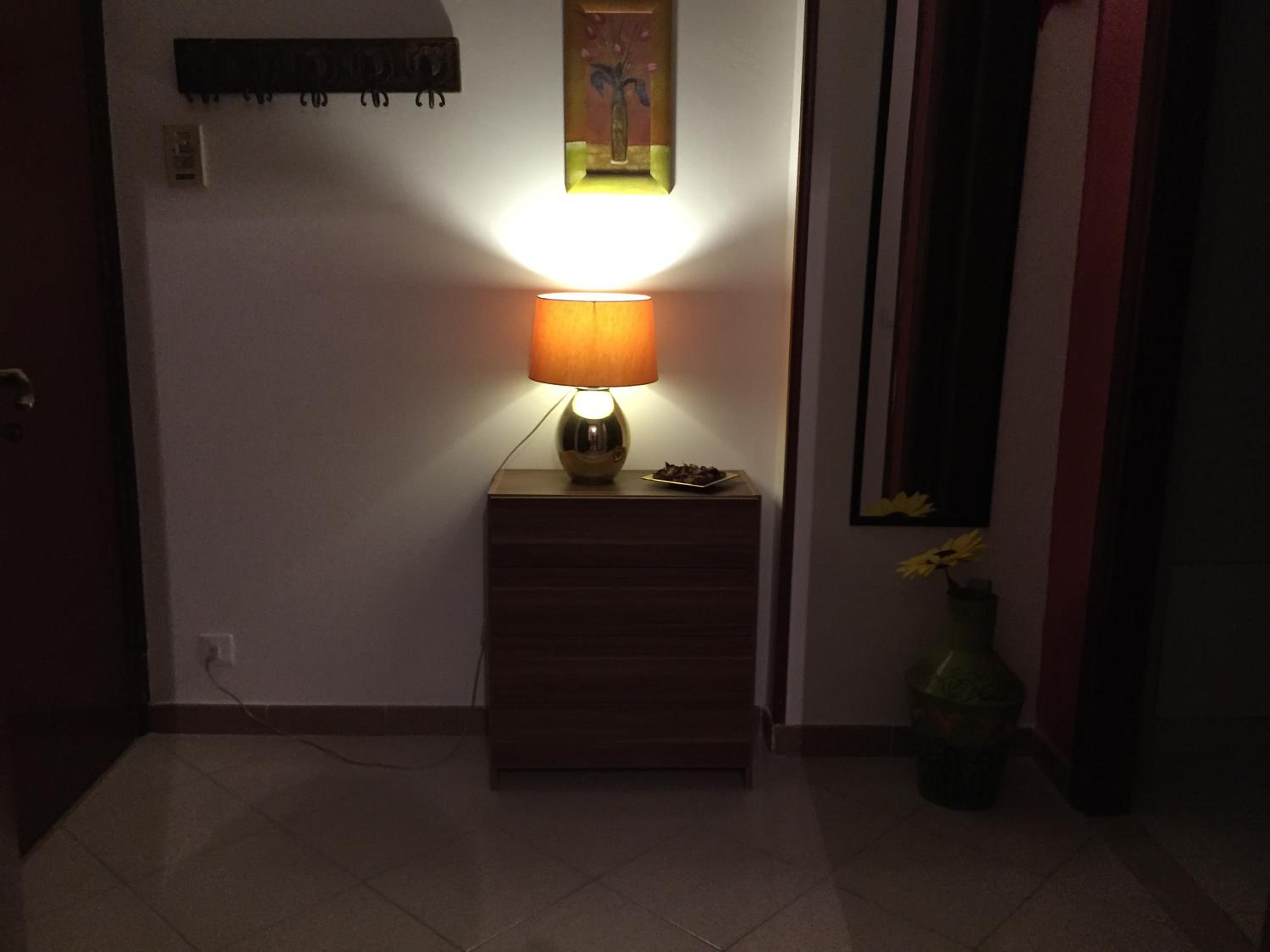 Photo 33